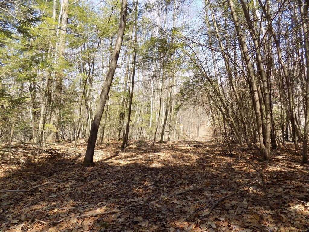 Lot 7 Skyline Ridge Rd., Becket MA 01223 photo 7