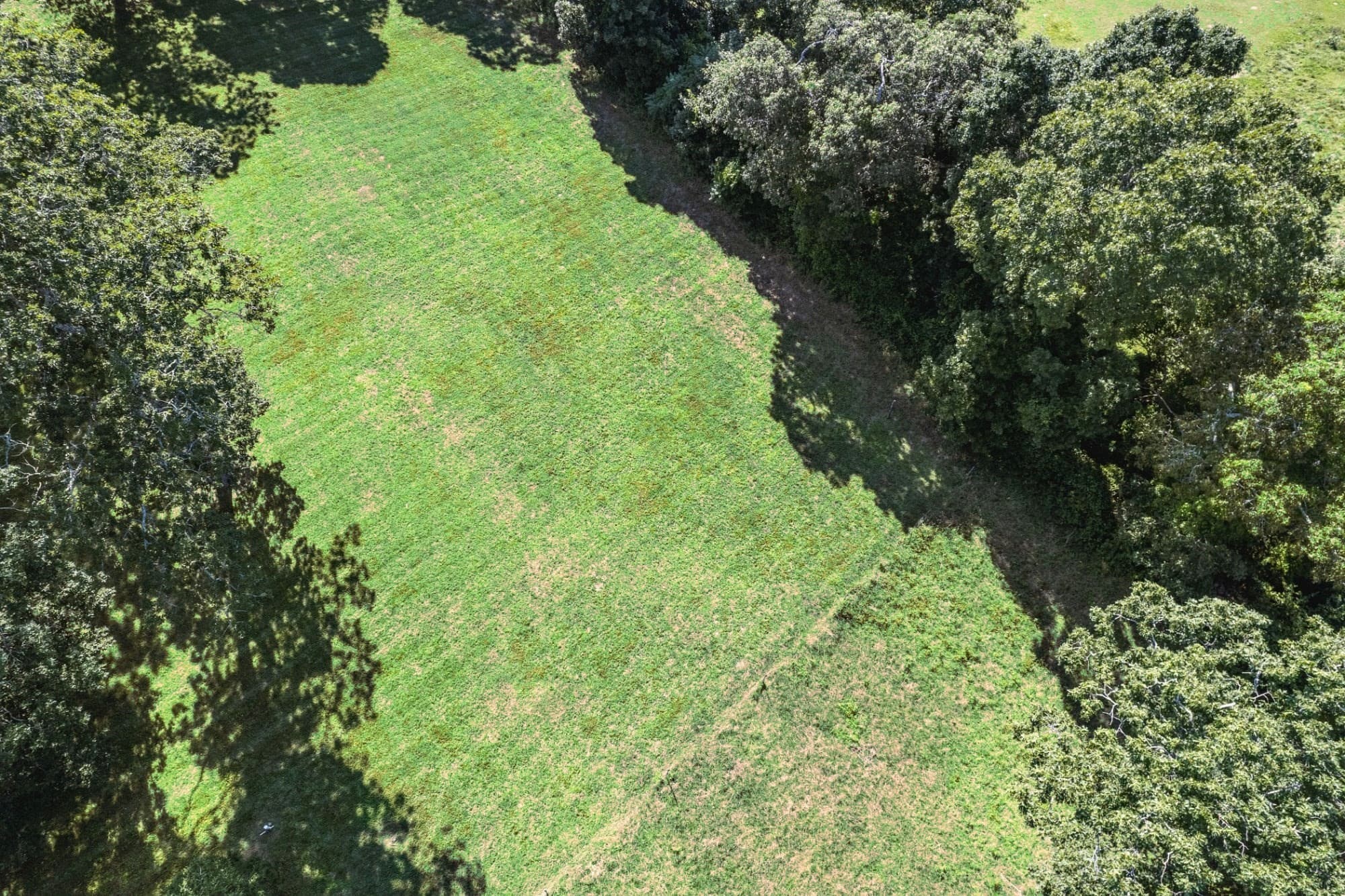 Residential at 26 Flint Hill Road, West Tisbury MA 02575, photo 9 of 13