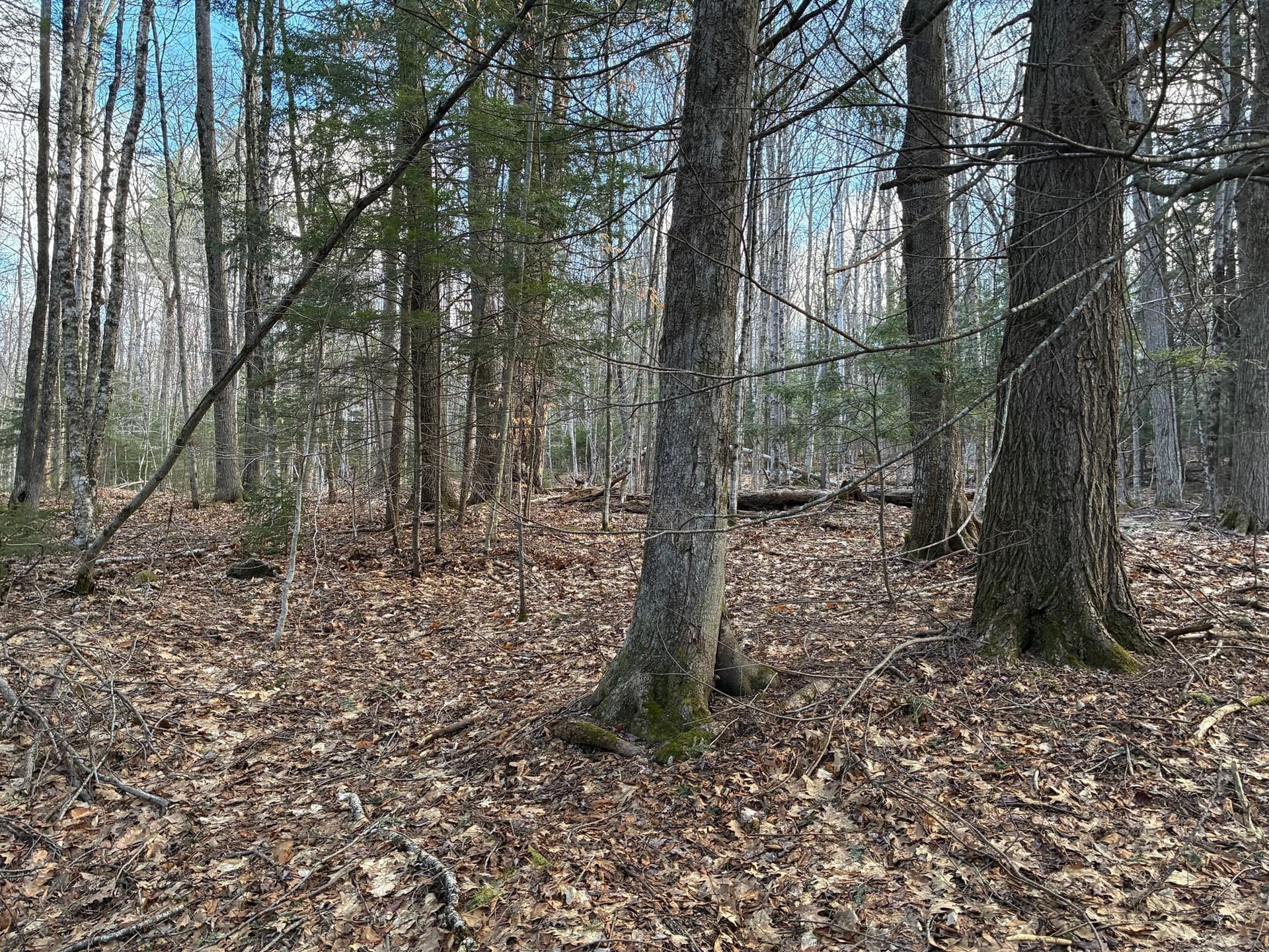 Residential at 2 Leshure Rd, Rowe MA 01367, photo 6 of 10
