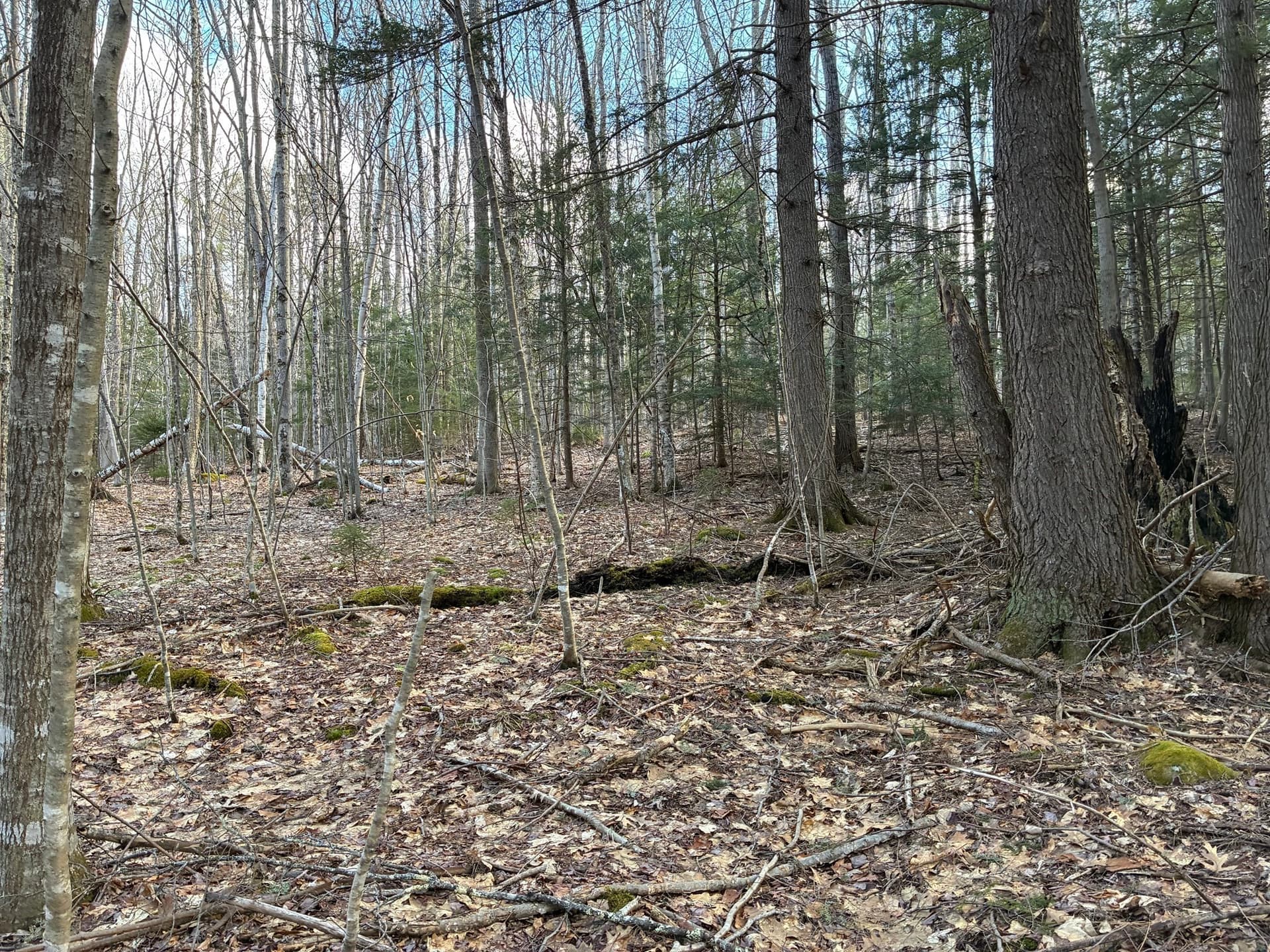Residential at 2 Leshure Rd, Rowe MA 01367, photo 7 of 10