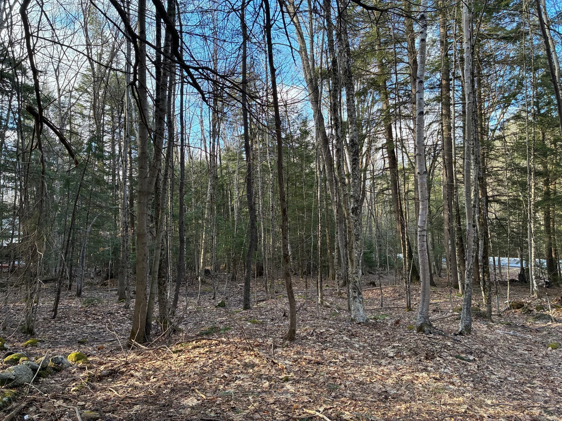 Residential at 2 Leshure Rd, Rowe MA 01367, photo 9 of 10