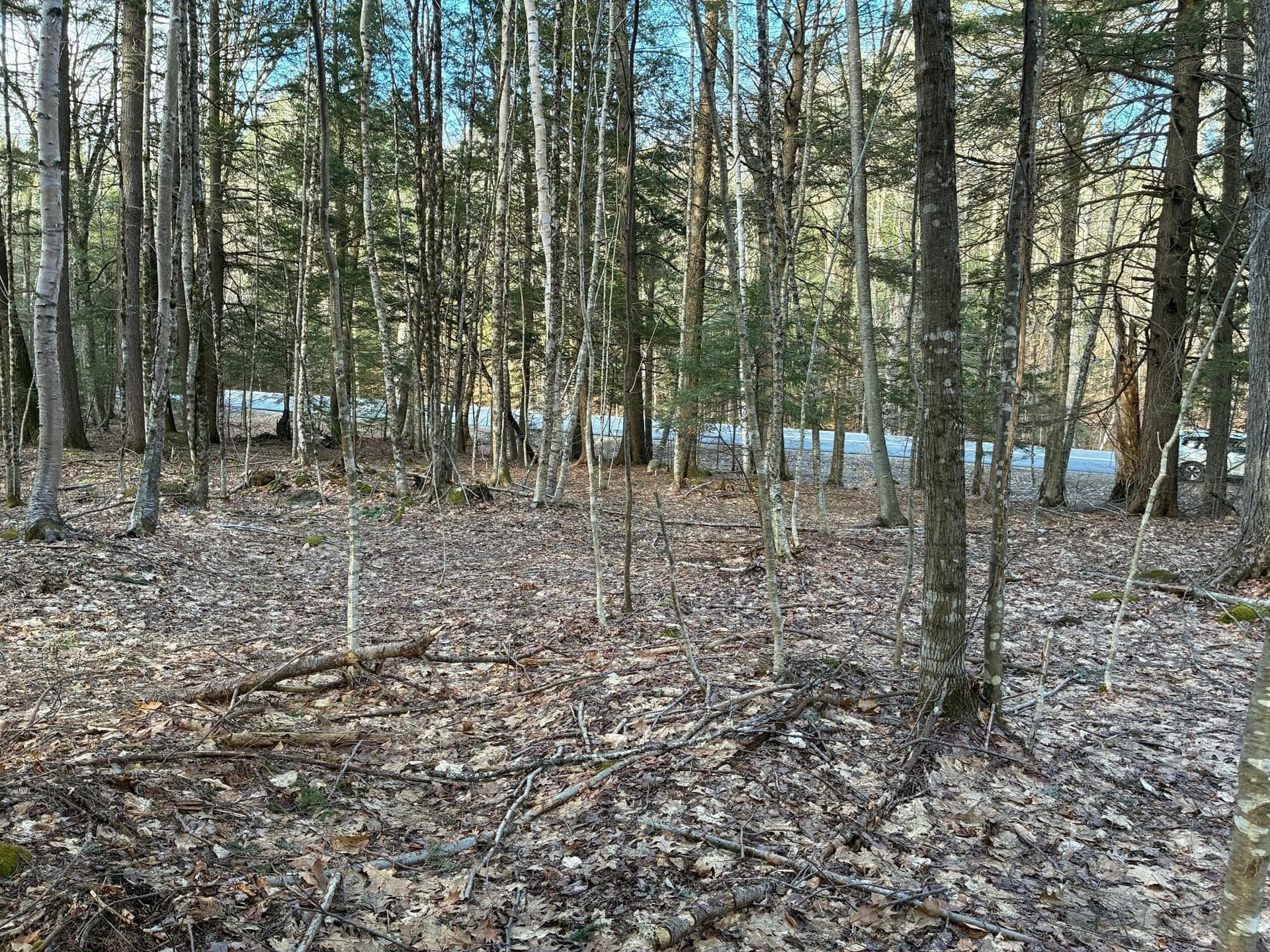 Residential at 2 Leshure Rd, Rowe MA 01367, photo 8 of 10