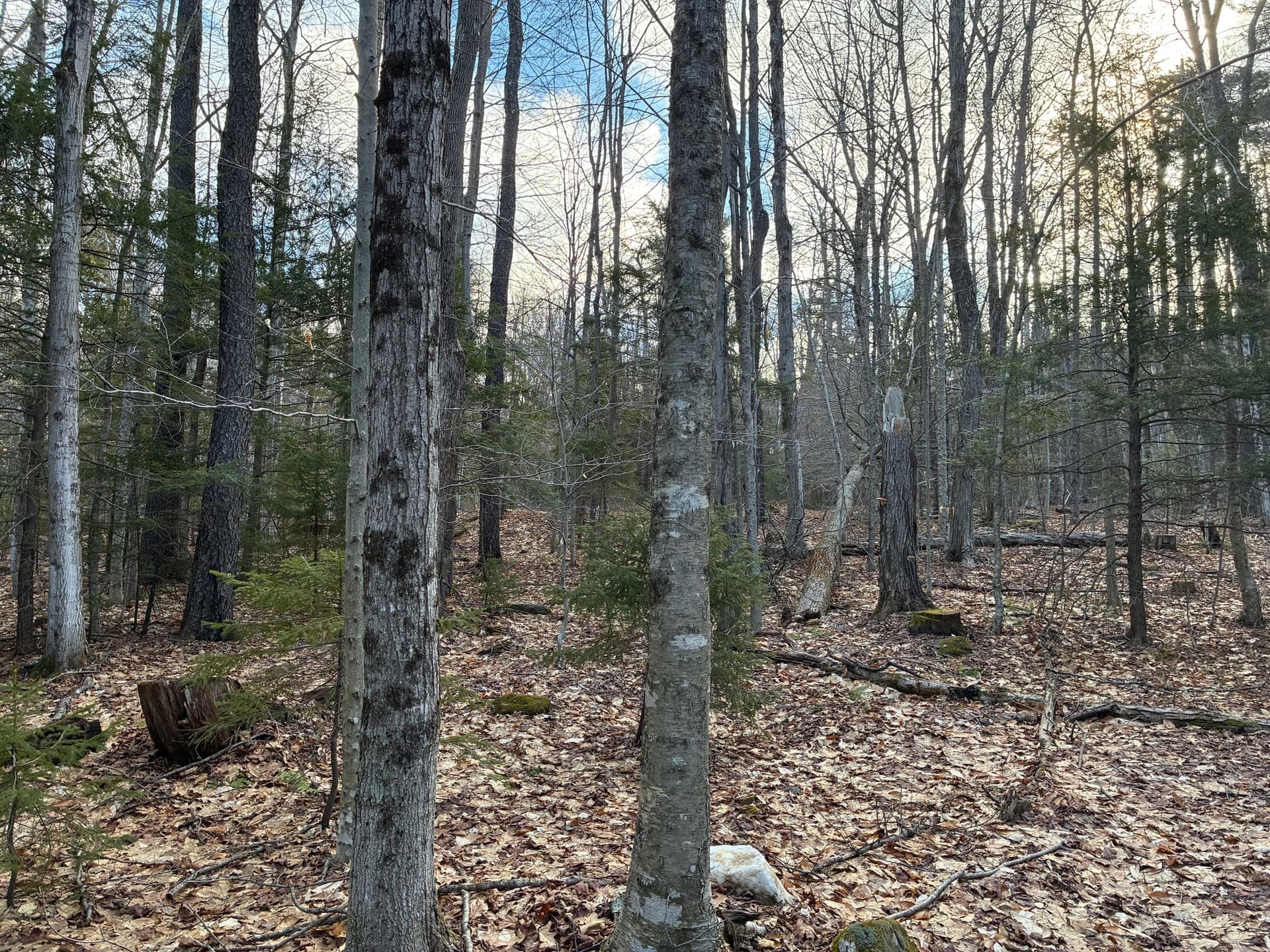 Residential at 5 Leshure Rd, Rowe MA 01367, photo 6 of 13