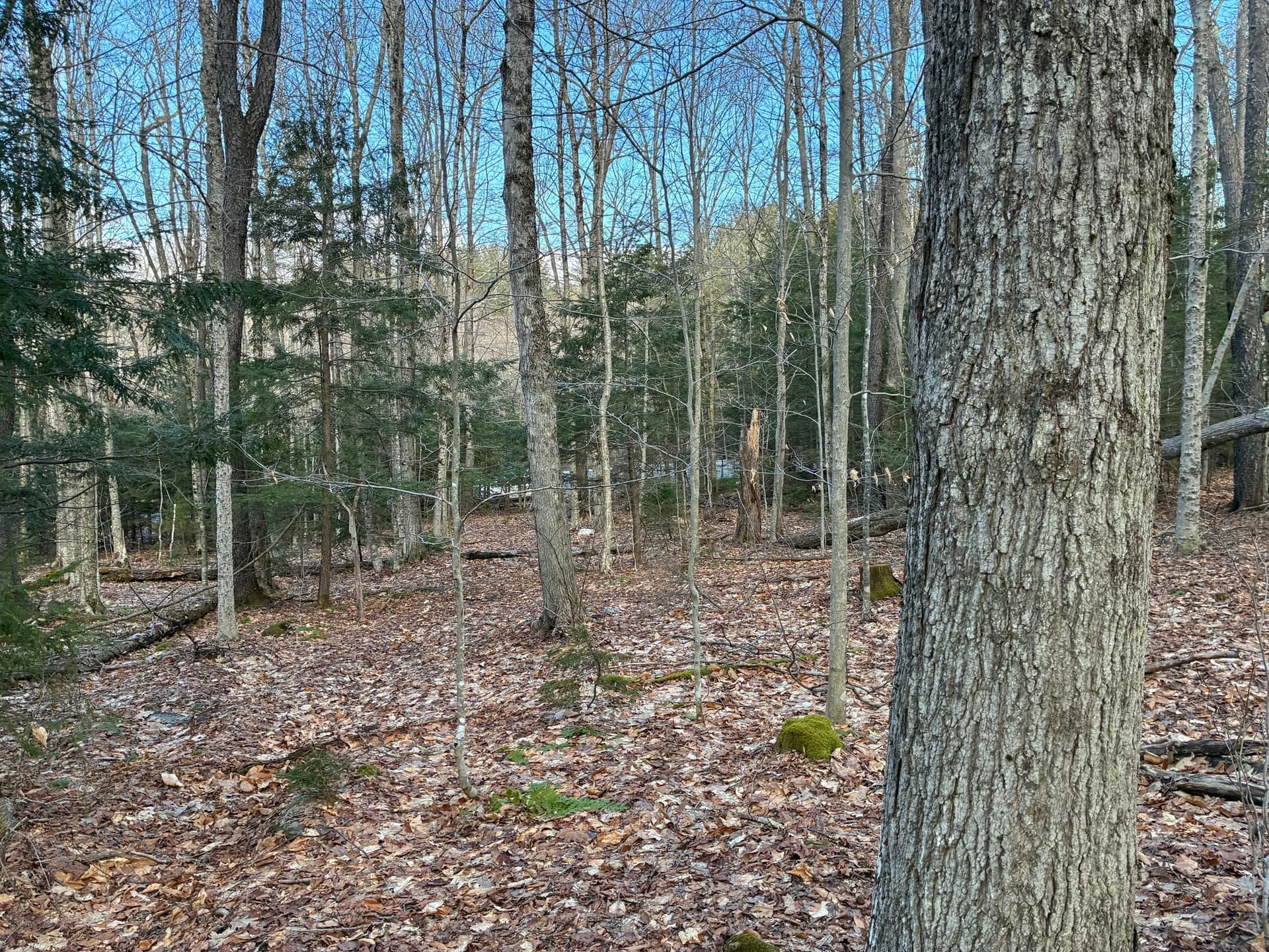 Residential at 5 Leshure Rd, Rowe MA 01367, photo 12 of 13