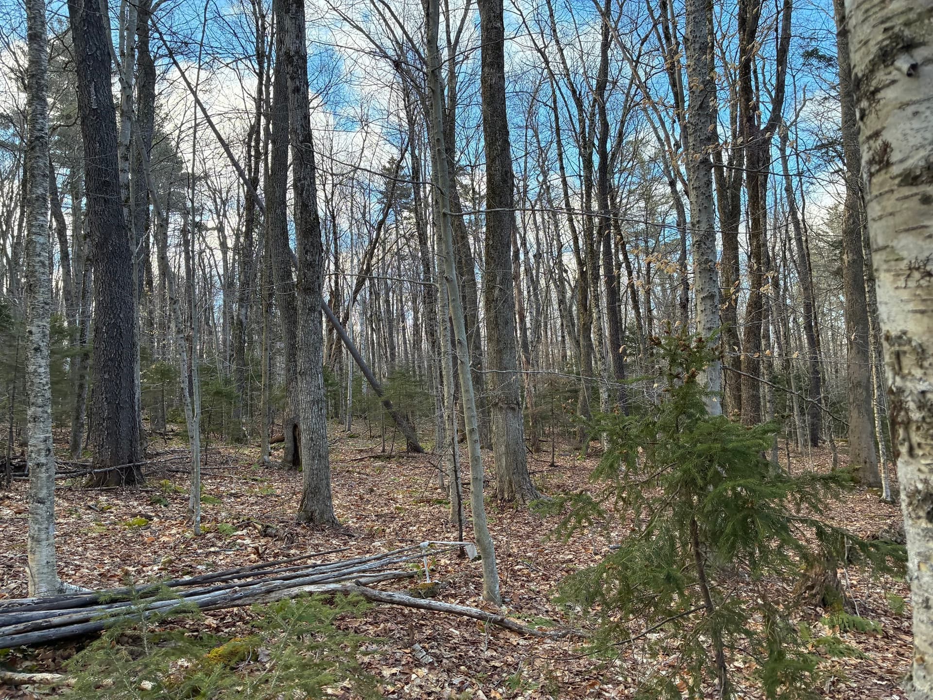 Residential at 5 Leshure Rd, Rowe MA 01367, photo 10 of 13