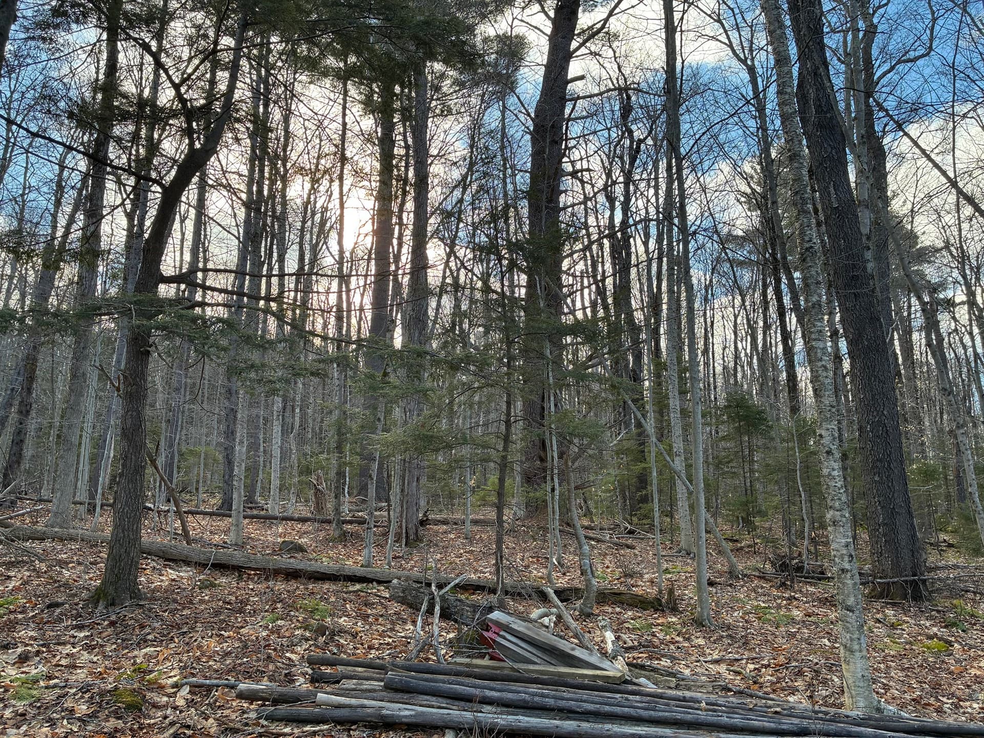 Residential at 5 Leshure Rd, Rowe MA 01367, photo 11 of 13