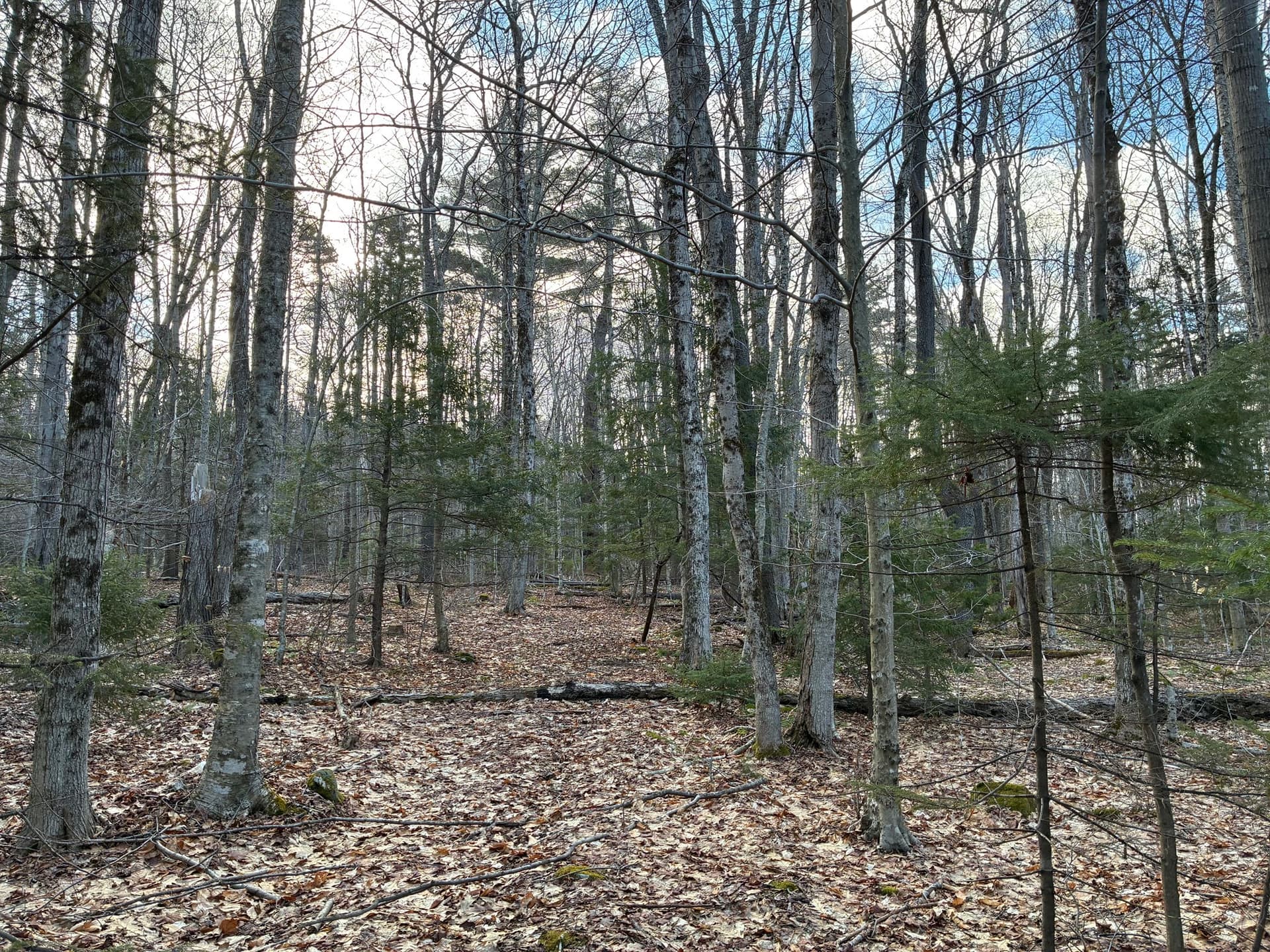 Residential at 5 Leshure Rd, Rowe MA 01367, photo 4 of 13