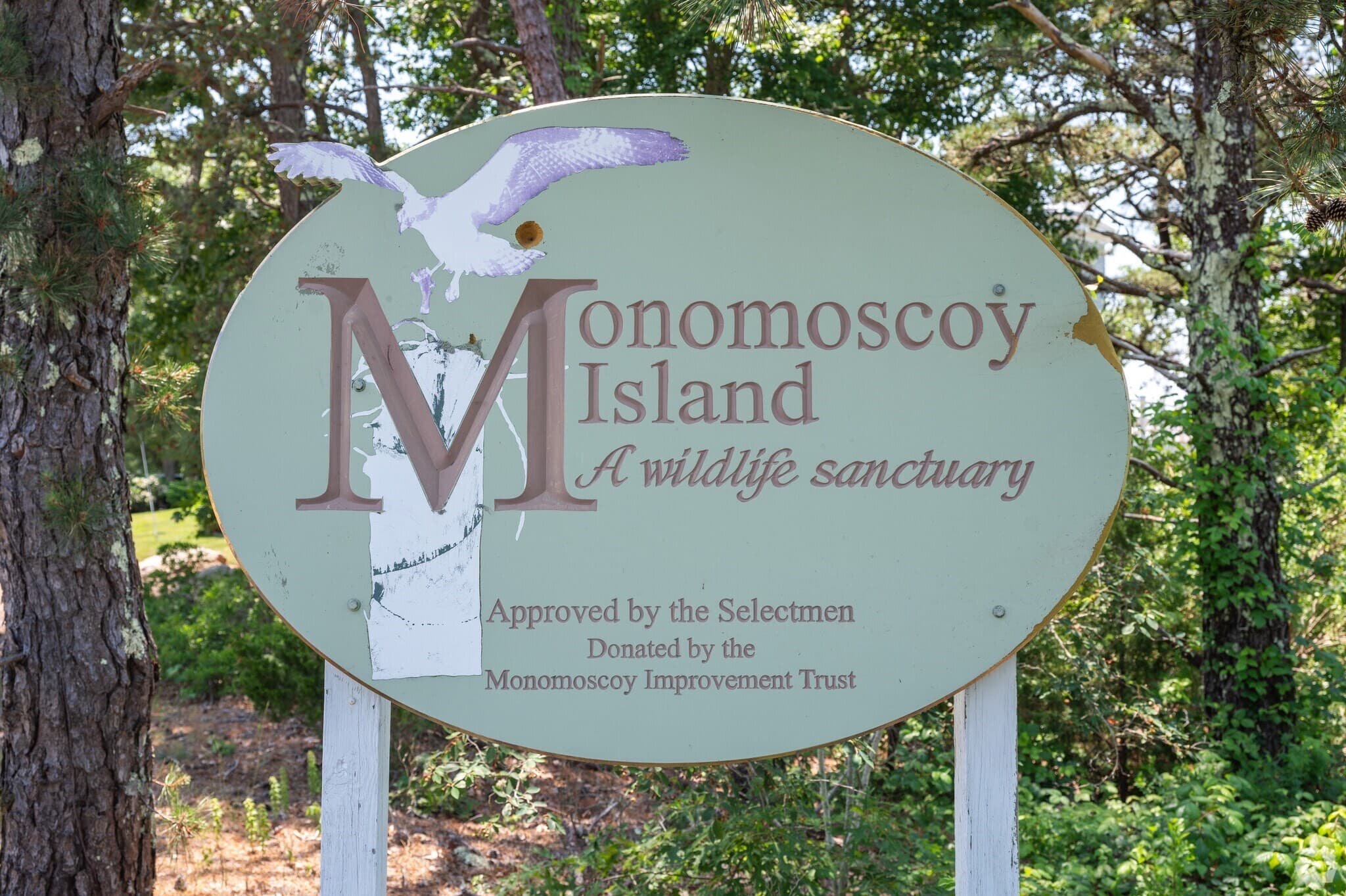 183 Monomoscoy Rd, Mashpee MA 02649