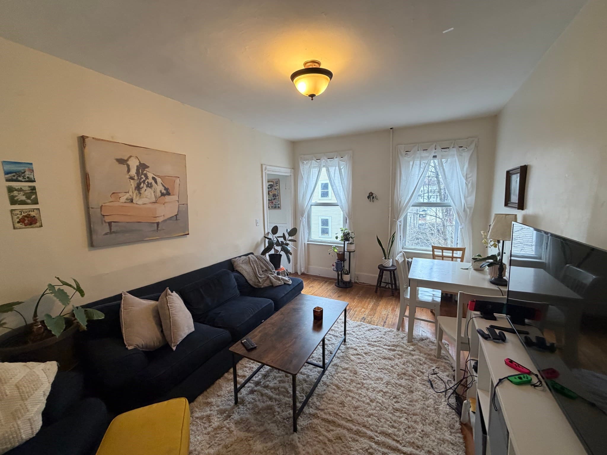 5-9 Family at 42 Calvin Street, Somerville MA 02143, Somerville, photo 2 of 11