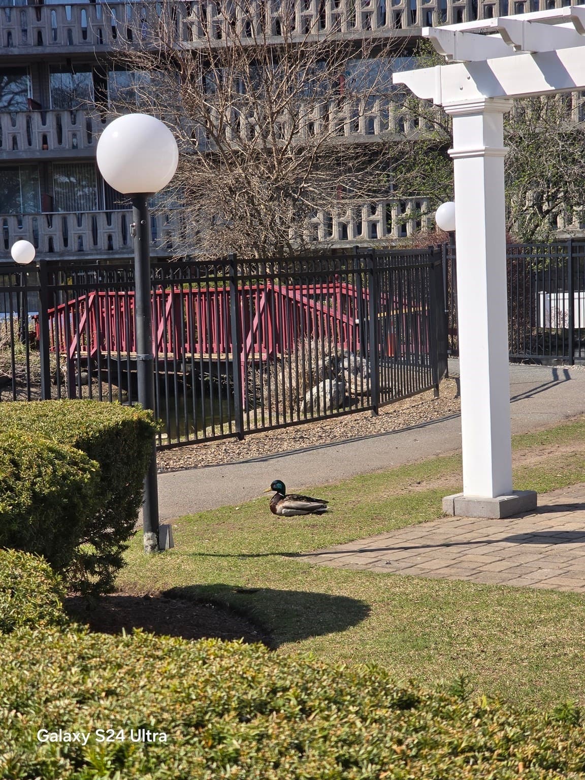 Condominium at 200 Swanton Street # T35, Winchester MA 01890, Winchester, photo 15 of 42