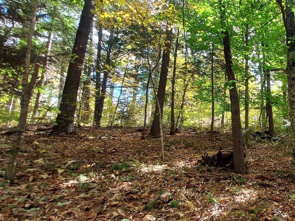 Lot 3 Harknesss Rd, Amherst MA 01002 photo 3
