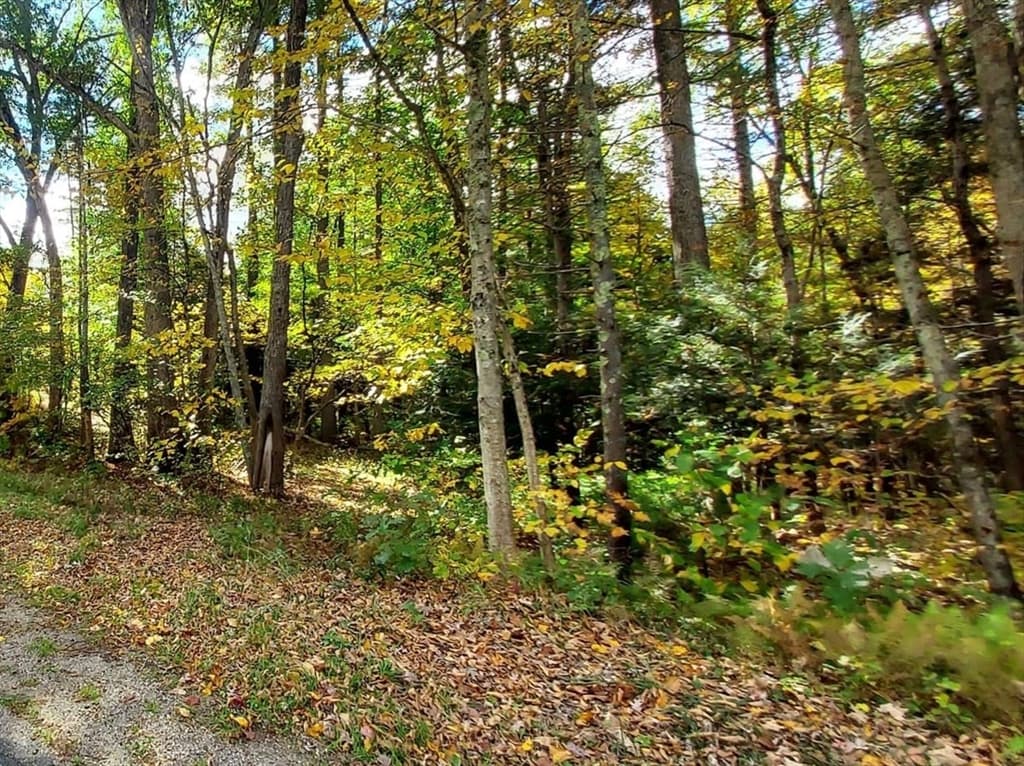 Lot 3 Harknesss Rd, Amherst MA 01002 photo 5