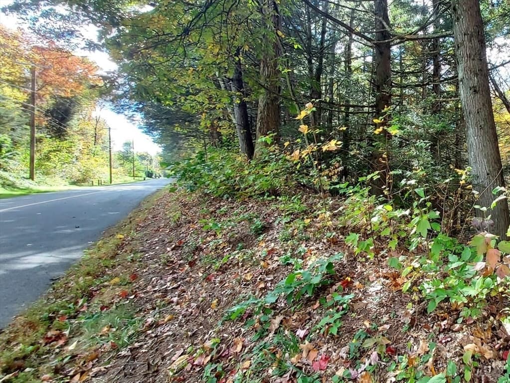 Lot 3 Harknesss Rd, Amherst MA 01002 photo 4