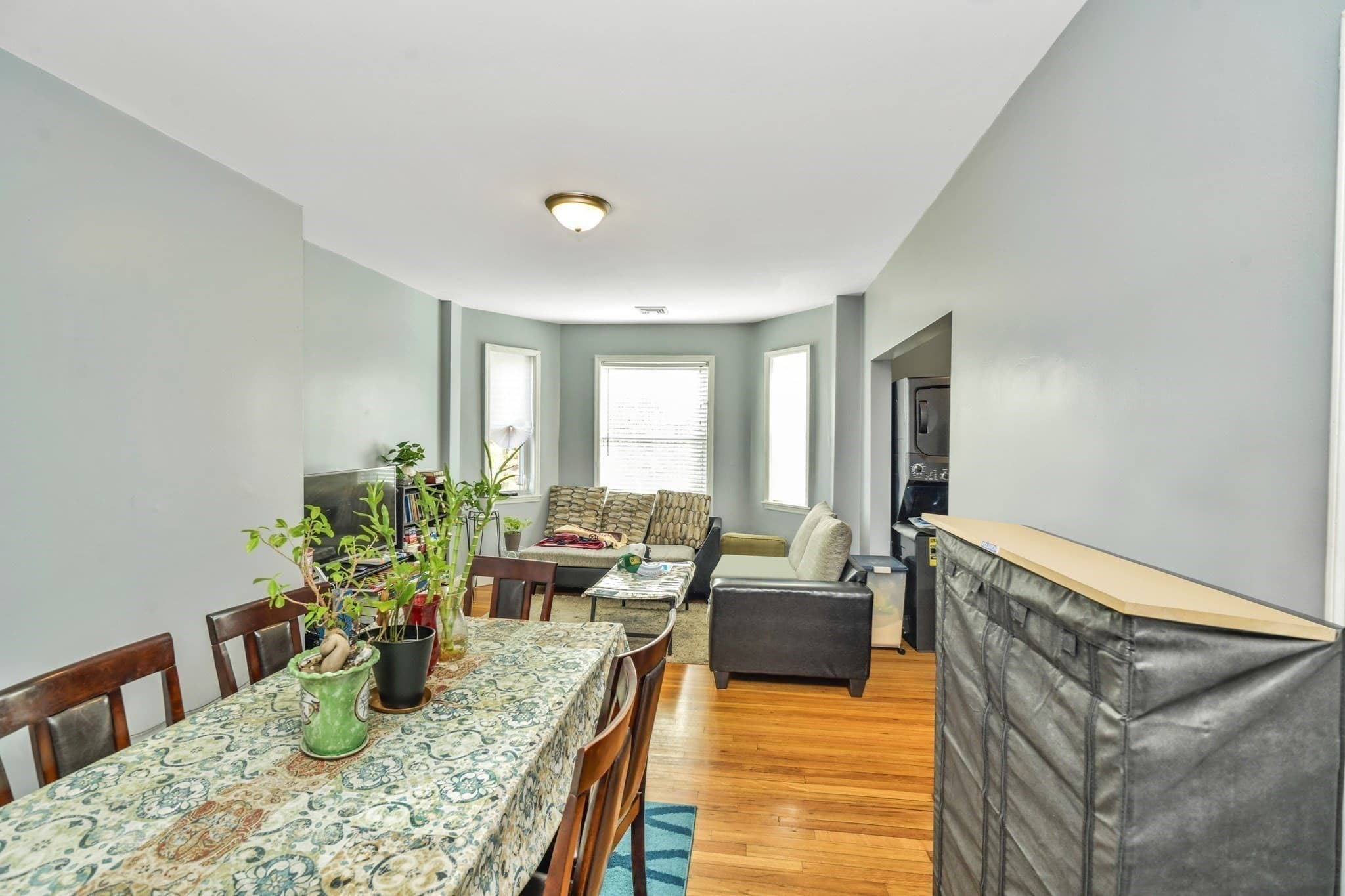 Condominium at 5-7 Everett Ave # 2, Boston MA 02125, Boston, photo 6 of 12