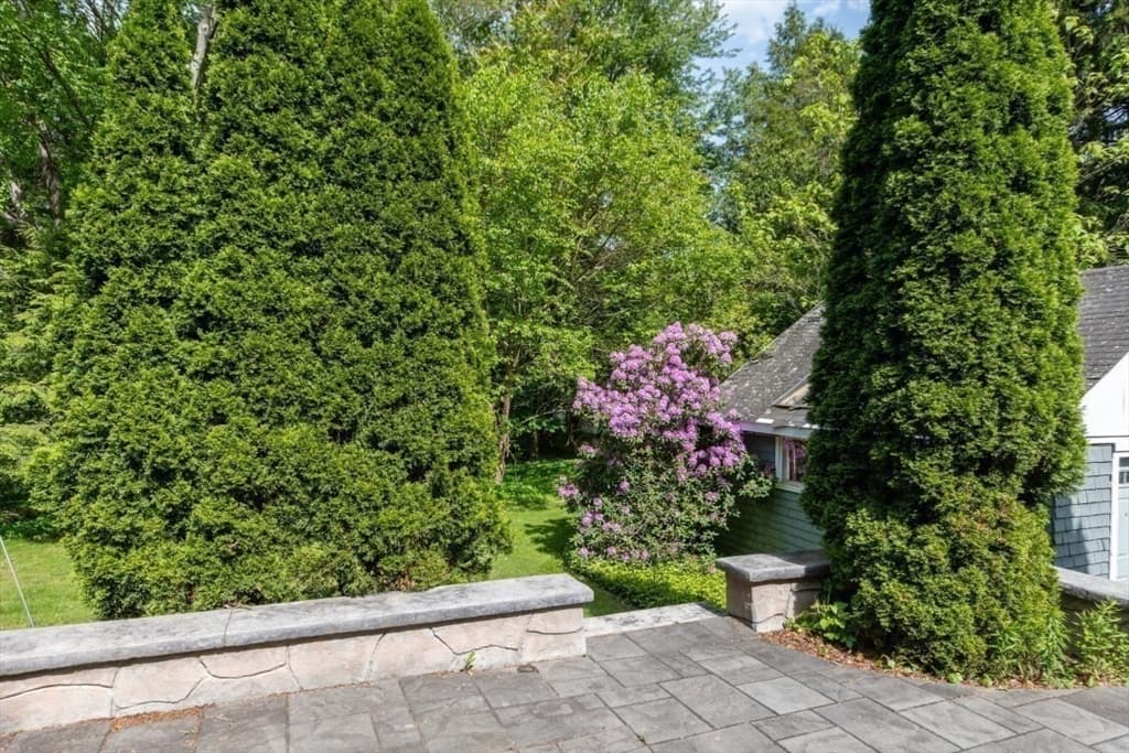 6 Willow Street, Wellesley MA 02481 photo 30