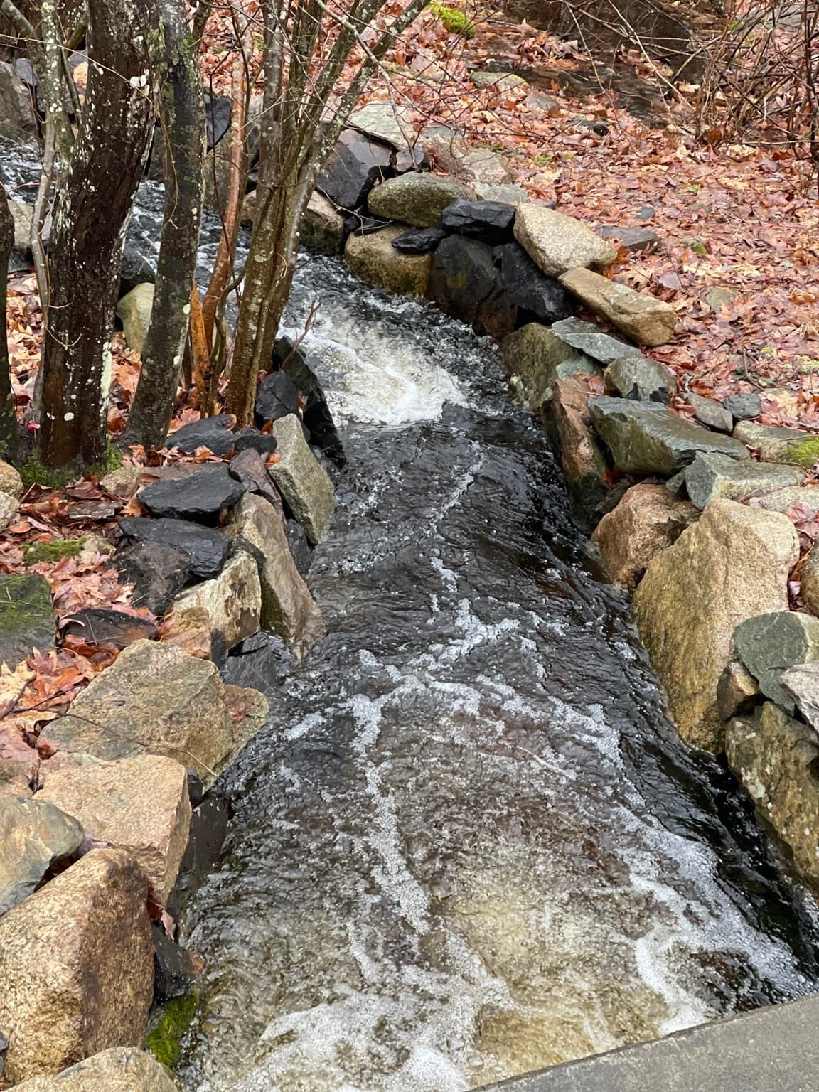 Residential at 3 Shining Valley Cir, Medfield MA 02052, photo 6 of 14