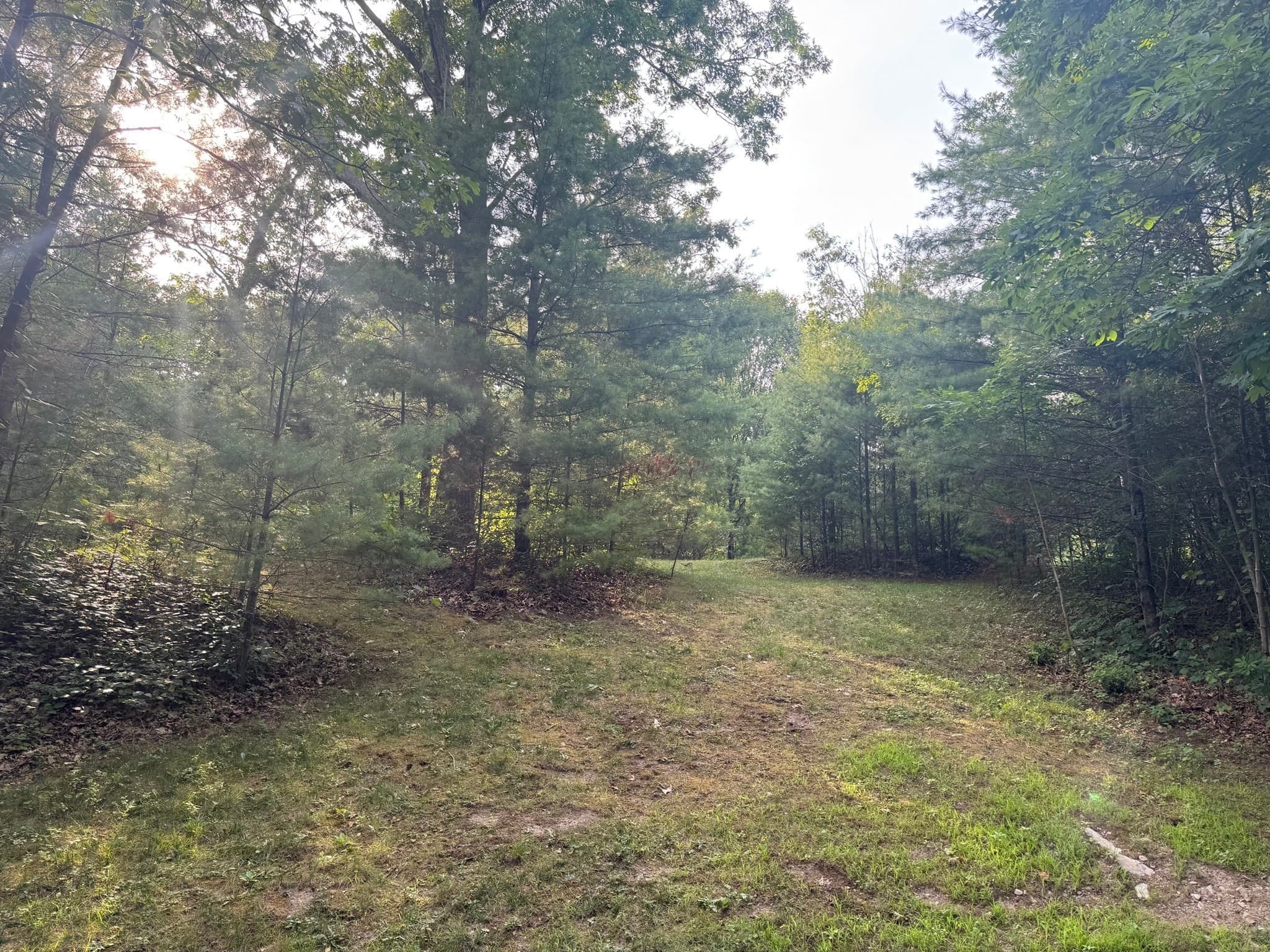 Residential at 3 Shining Valley Cir, Medfield MA 02052, photo 7 of 14