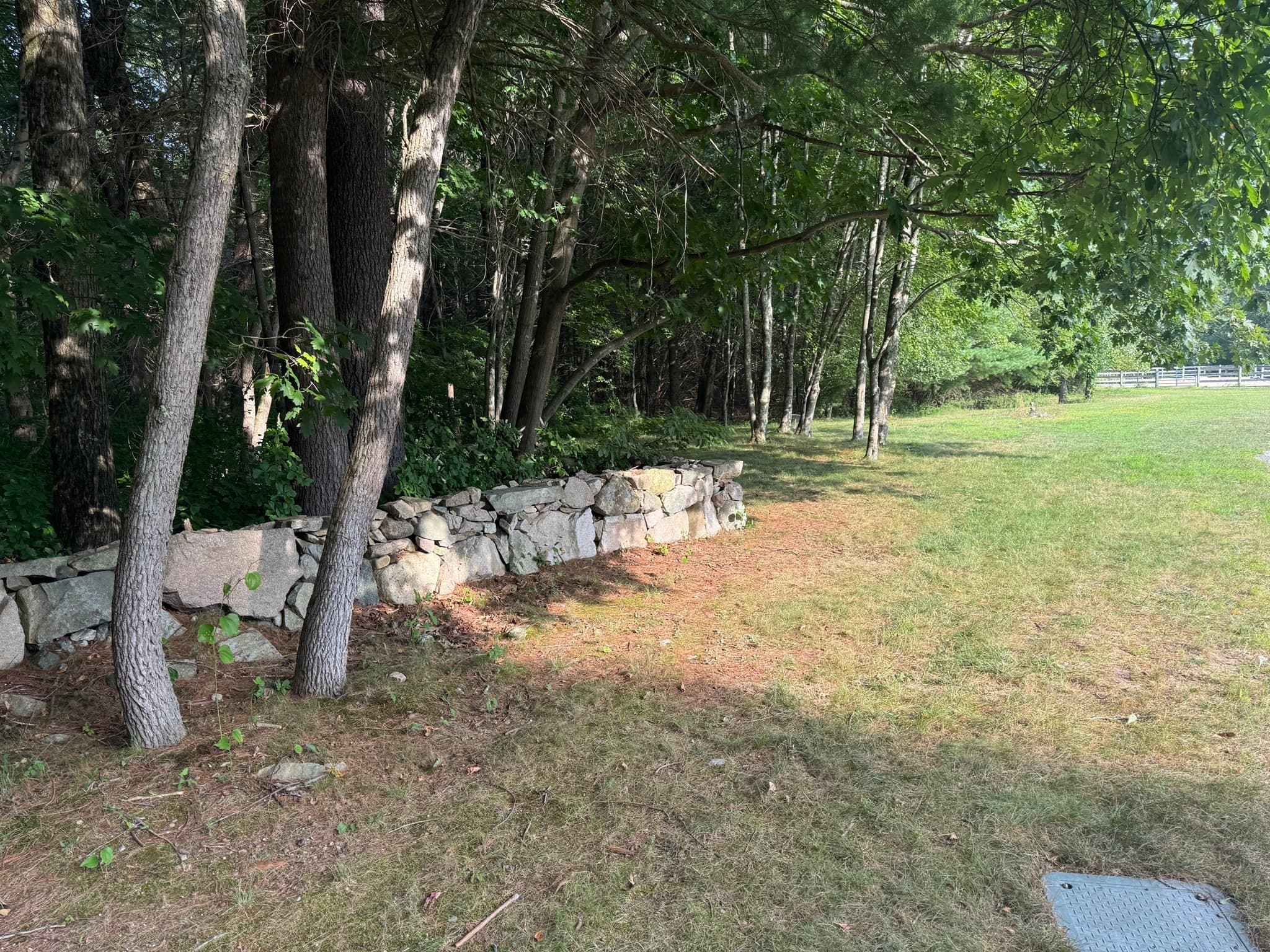 Residential at 3 Shining Valley Cir, Medfield MA 02052, photo 5 of 14