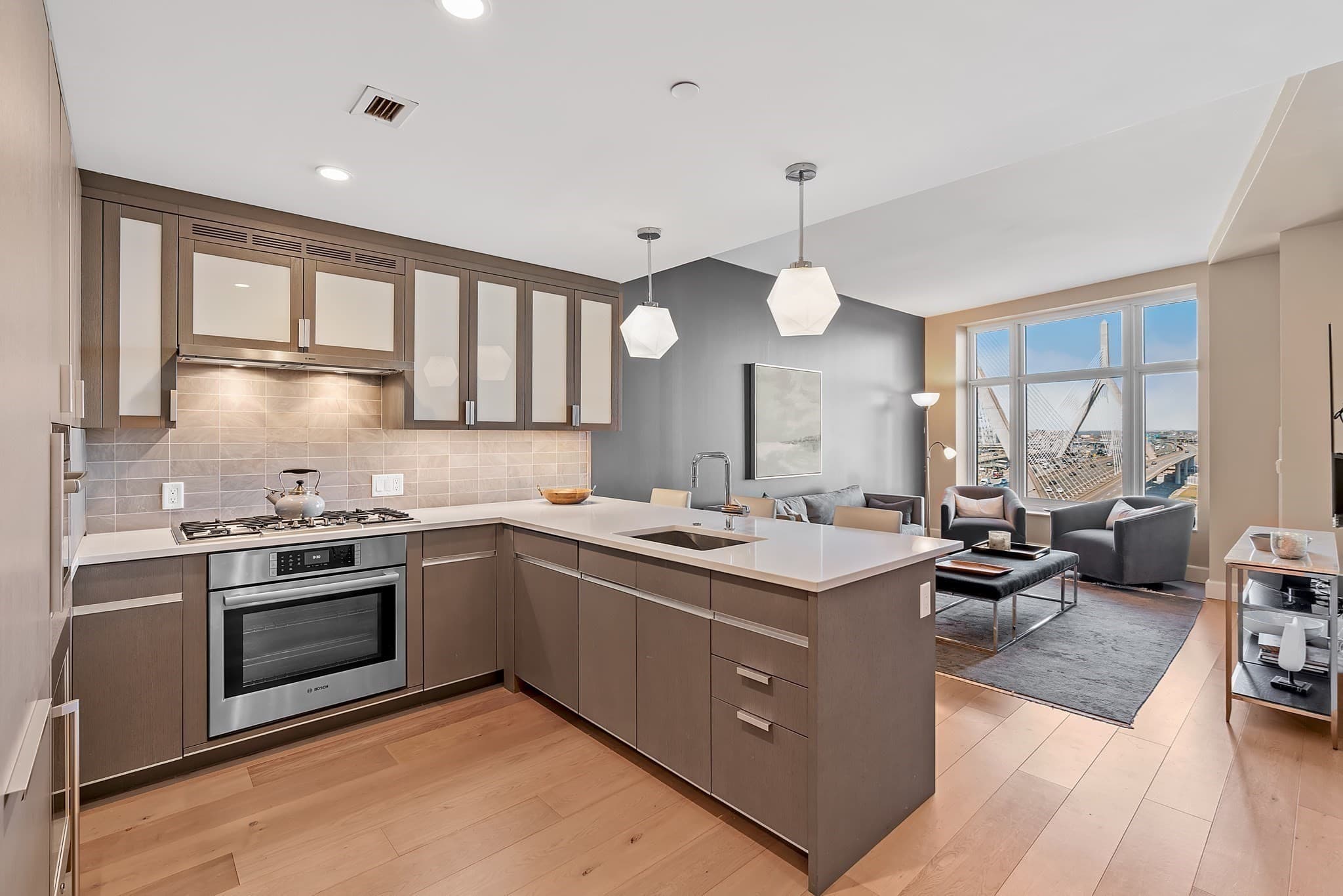 Condominium at 100 Lovejoy Wharf # F, Boston MA 02114, photo 2 of 28