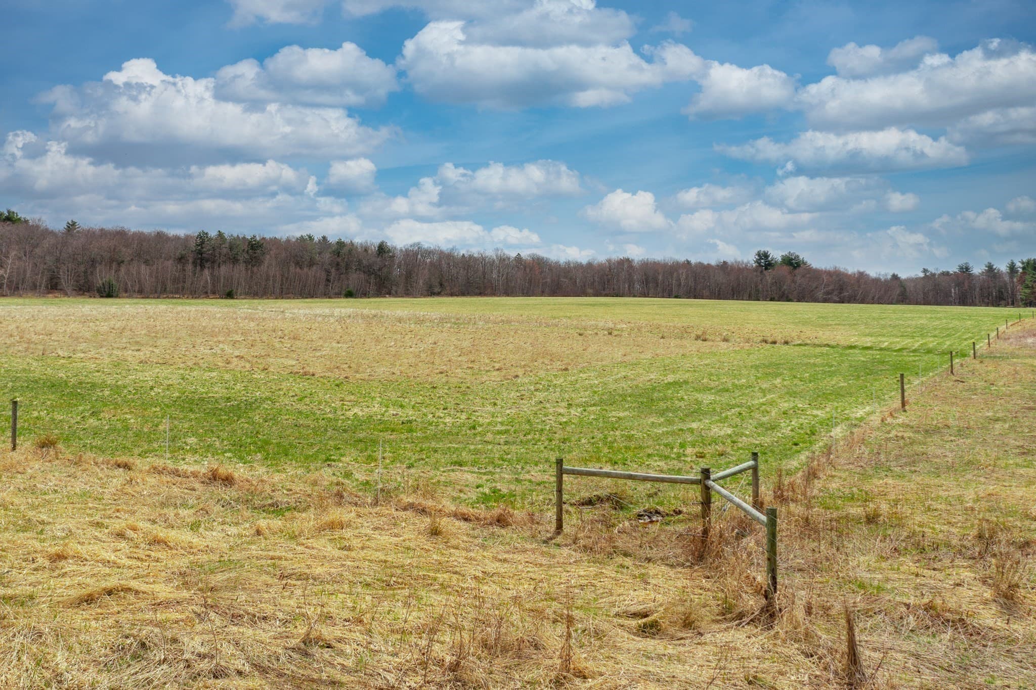 Agriculture at 00 Old Post Road/Williamsburg Rd, Worthington MA 01098, photo 6 of 9
