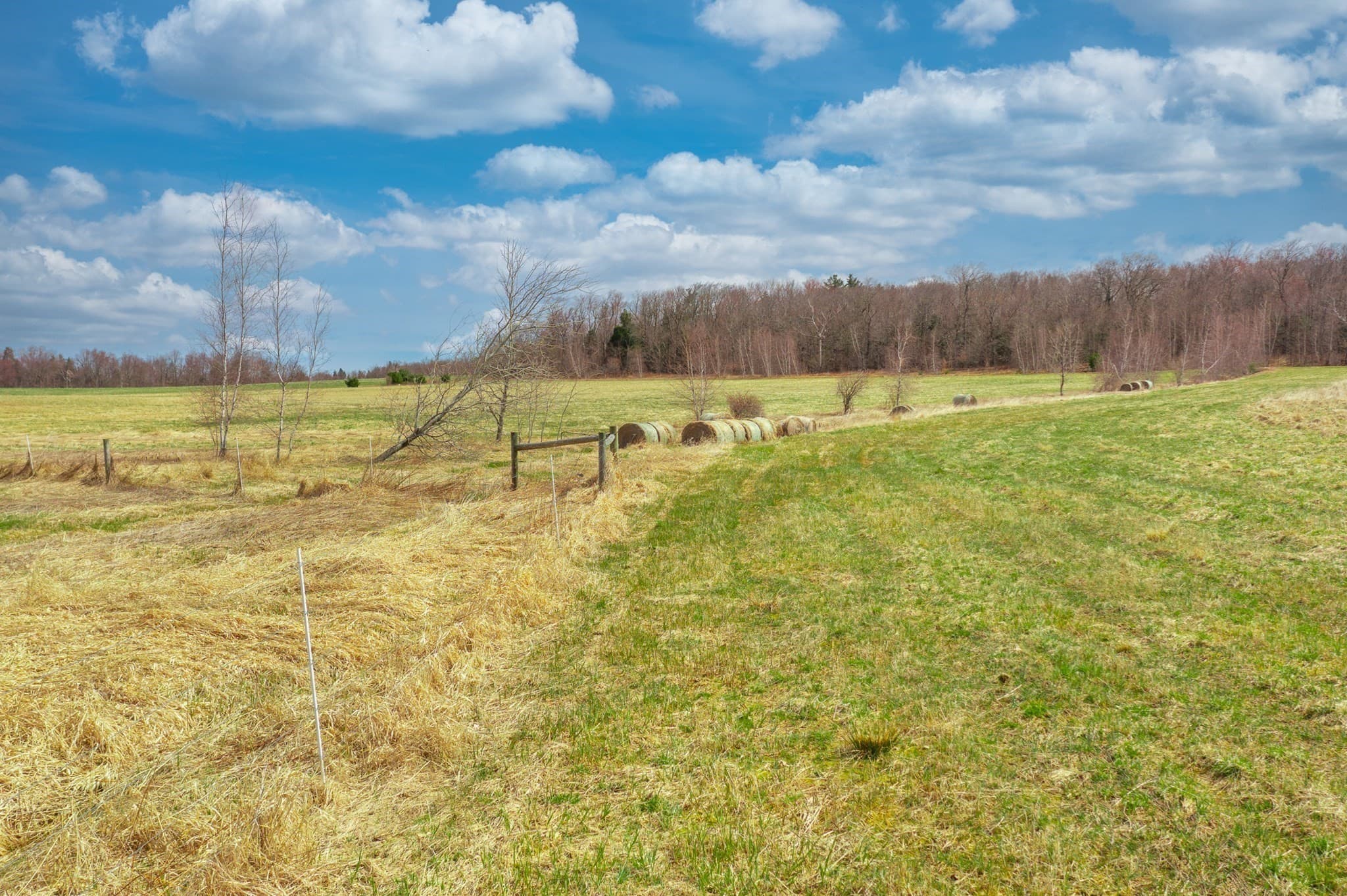 Agriculture at 00 Old Post Road/Williamsburg Rd, Worthington MA 01098, photo 5 of 9