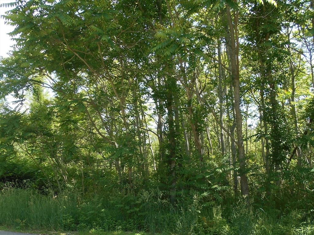 21 Papermill Road, Wareham MA 02576