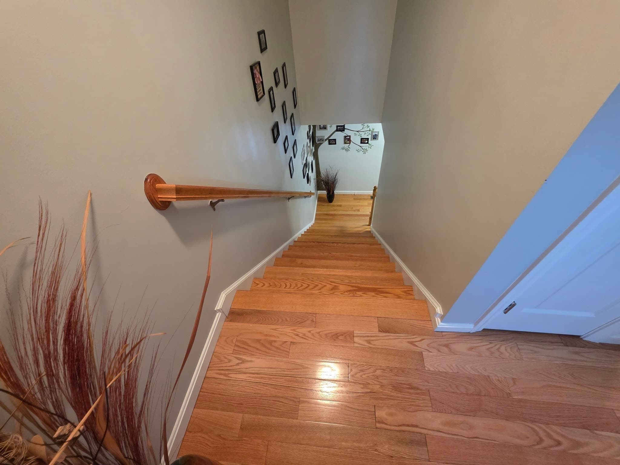Single Family Residence at 229 Concord Street, Fall River MA 02723, photo 16 of 40
