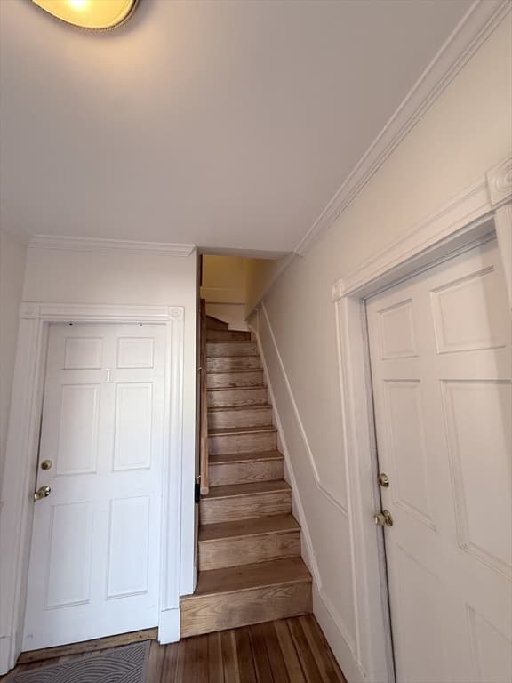 3 Family - 3 Units Up/Down at 8 White Ave, Brookline MA 02467, Brookline, photo 9 of 40