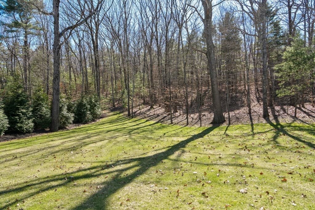 196 Pond Road, Wellesley MA 02482 photo 19