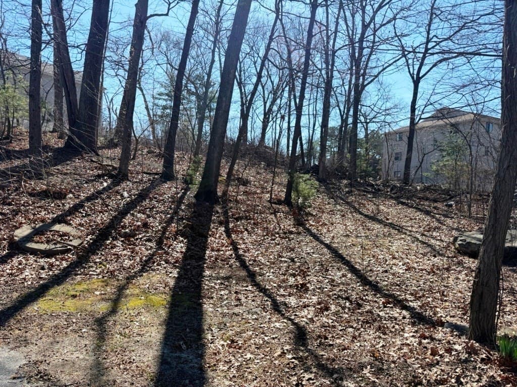 Residential at 13 Pocasset St, Worcester MA 01604, Worcester, photo 7 of 12