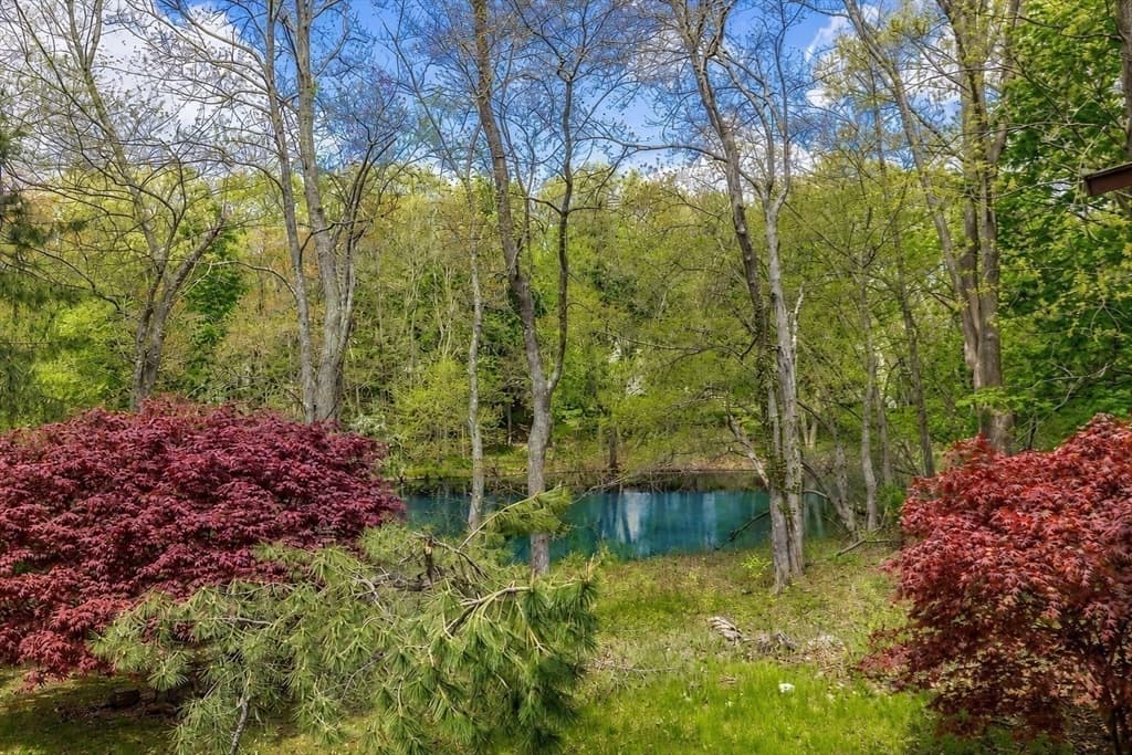 Single Family Residence at 58 Solomon Pierce Rd, Lexington MA 02420, Lexington, photo 39 of 39