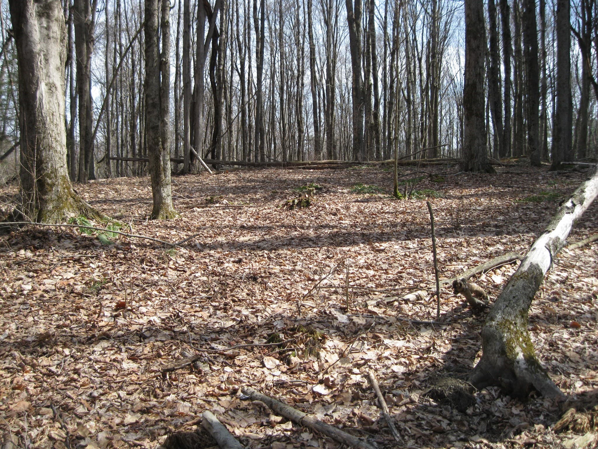 Residential at 0 Mohawk Lake Rd, Stockbridge MA 01262, photo 3 of 5