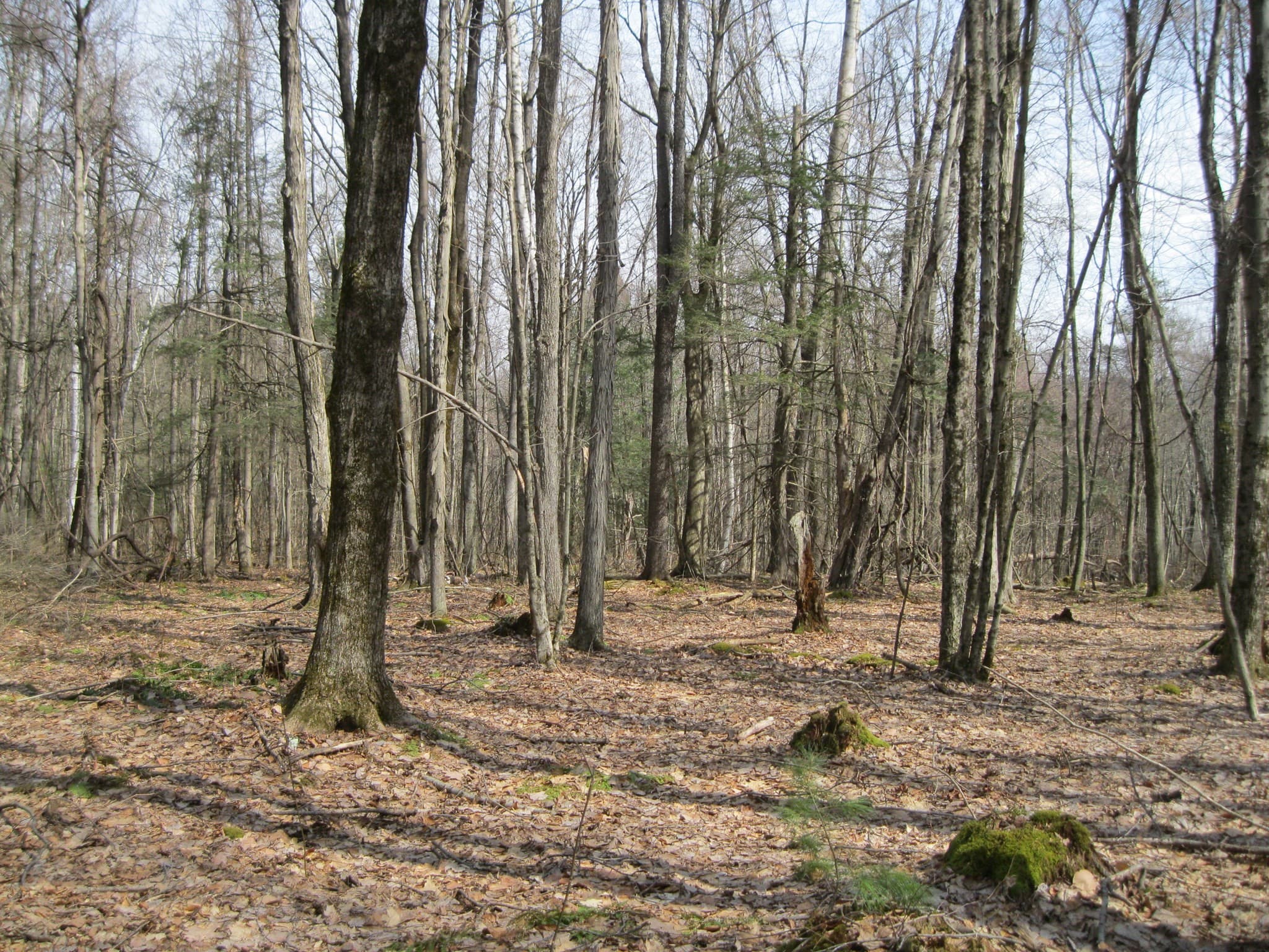 0 Mohawk Lake Rd, Stockbridge MA 01262