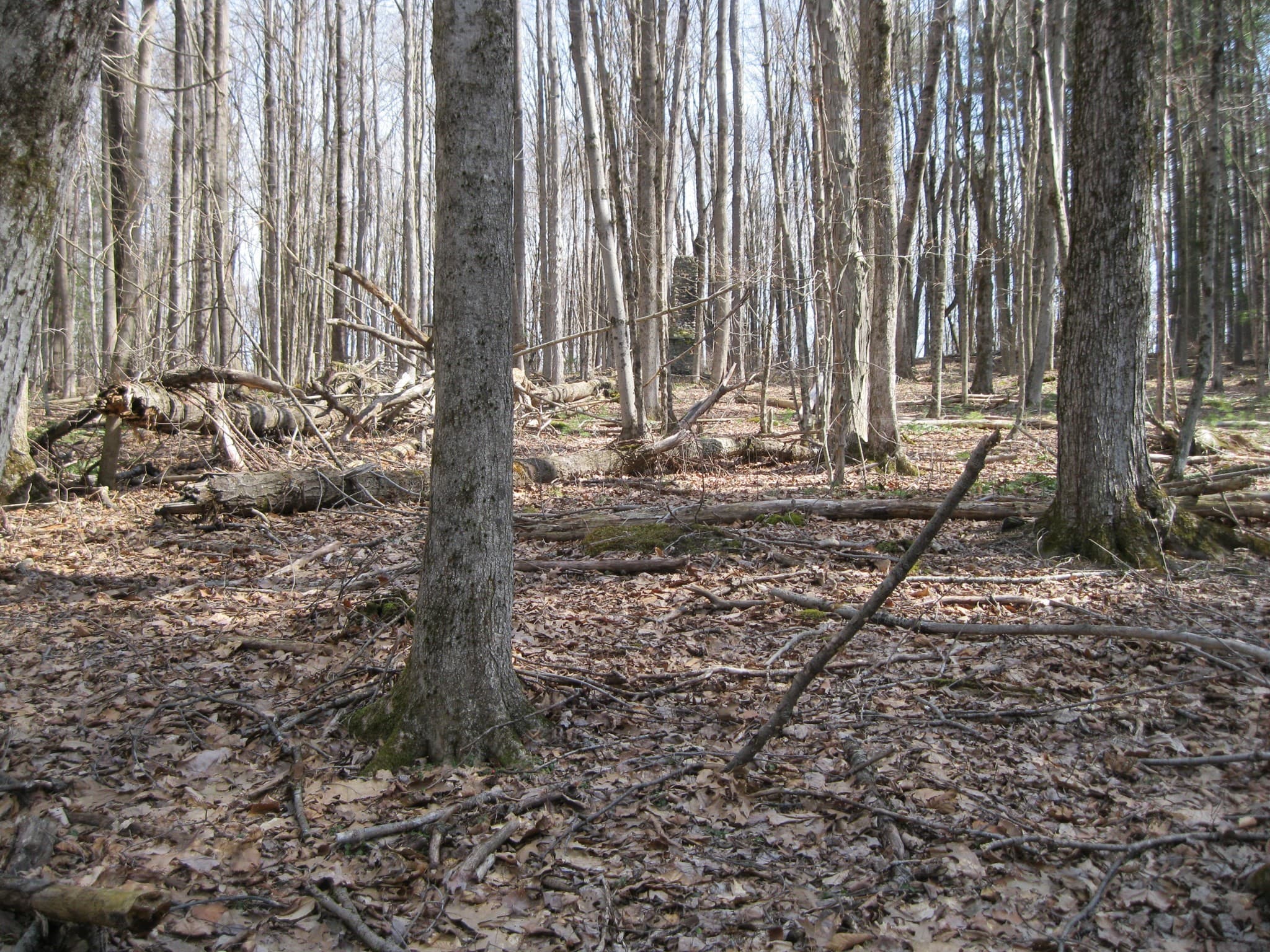 Residential at 0 Mohawk Lake Rd, Stockbridge MA 01262, photo 4 of 5