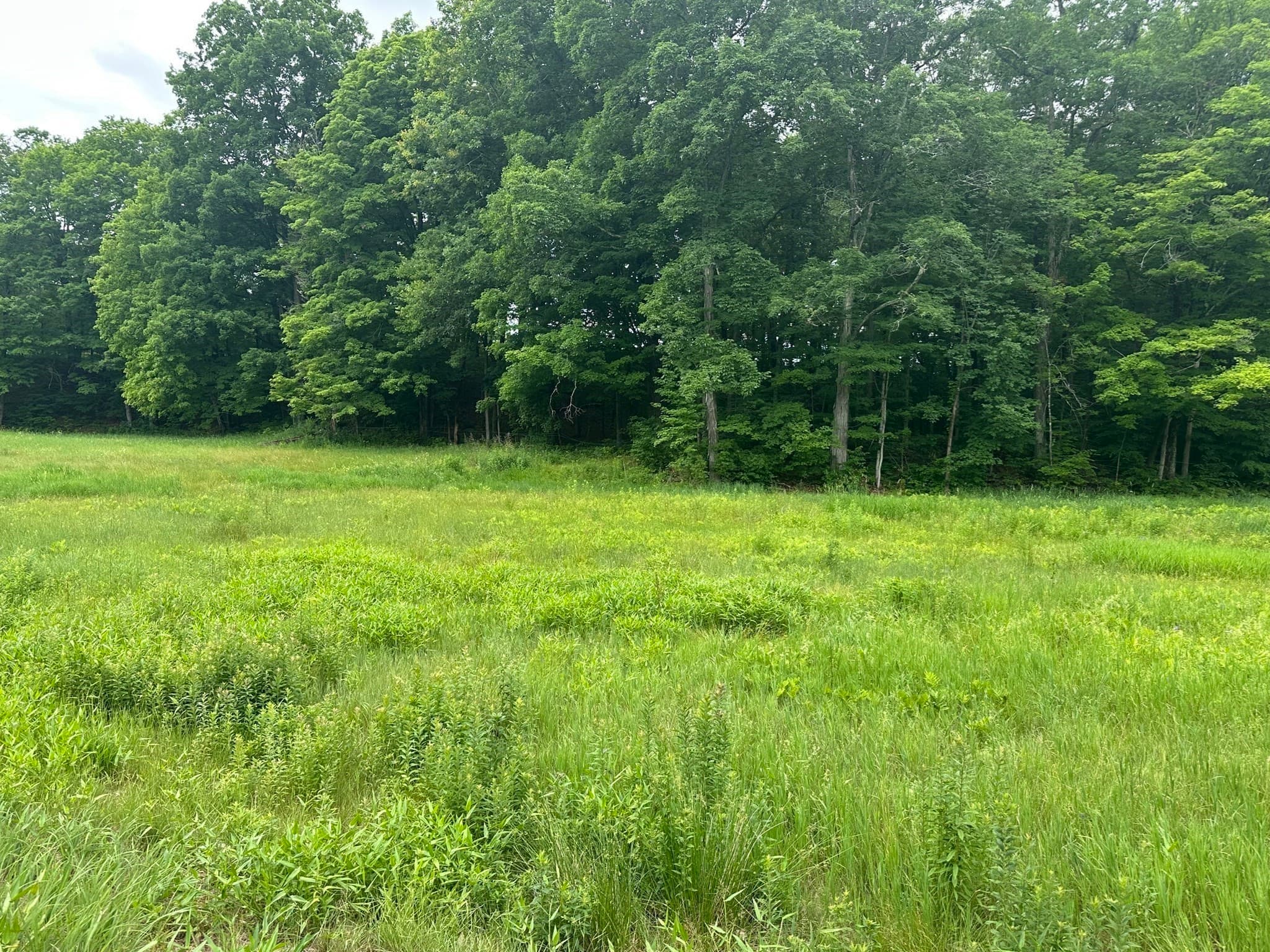 Residential at 0 North Leverett, Montague MA 01351, photo 5 of 10