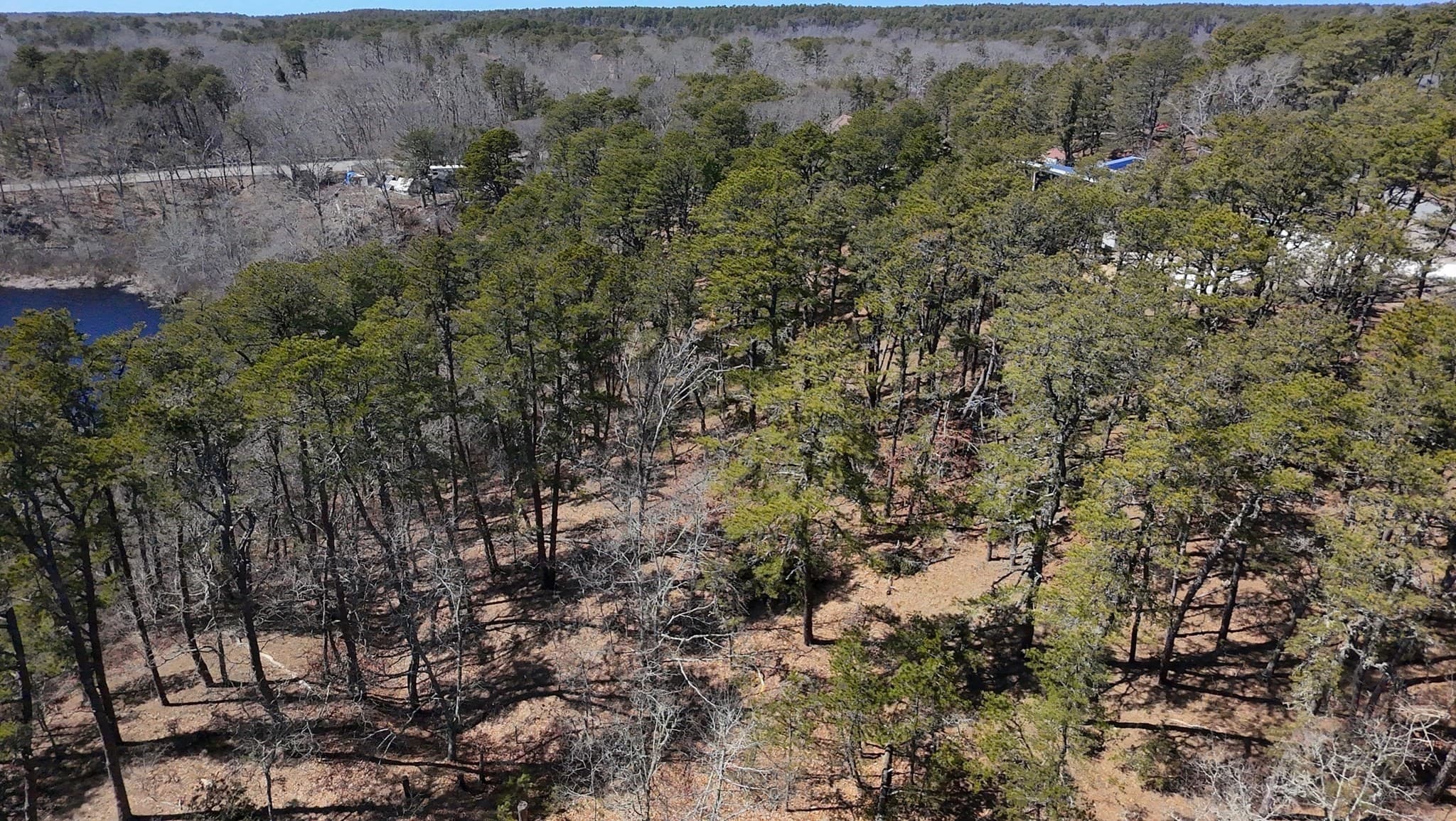 Residential at 60 Perch Pond Way, Wellfleet MA 02667, photo 6 of 7