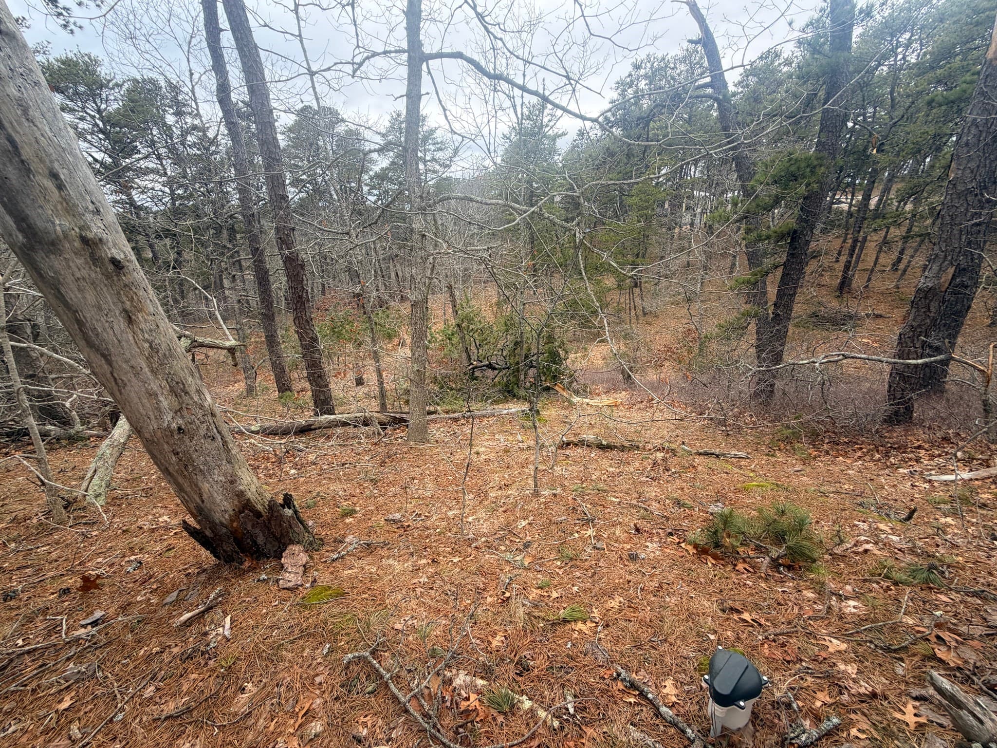 Residential at 60 Perch Pond Way, Wellfleet MA 02667, photo 7 of 7