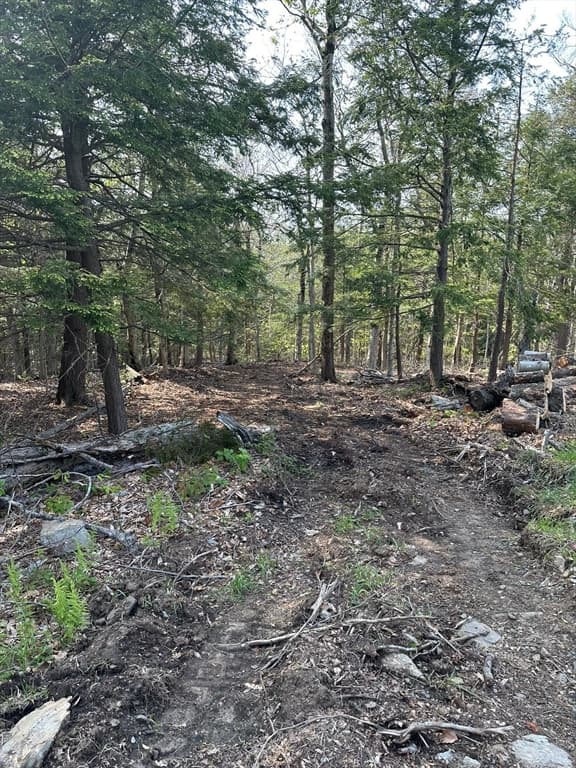 462 Old North Road, Worthington MA 01098 photo 13