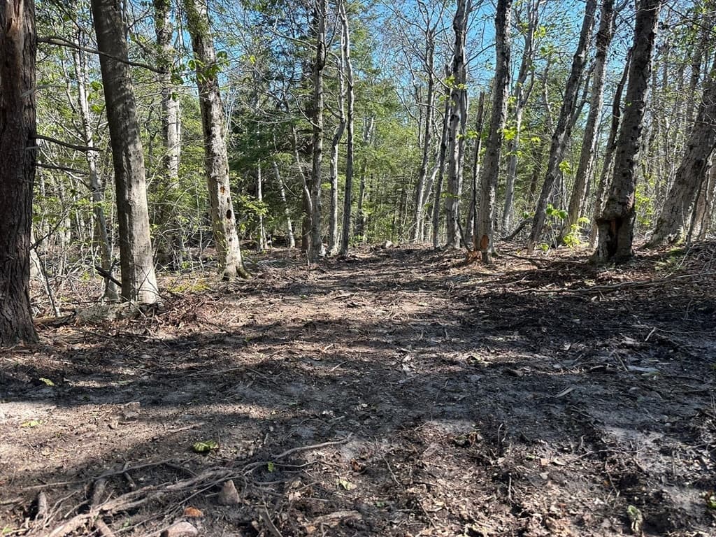 462 Old North Road, Worthington MA 01098 photo 3