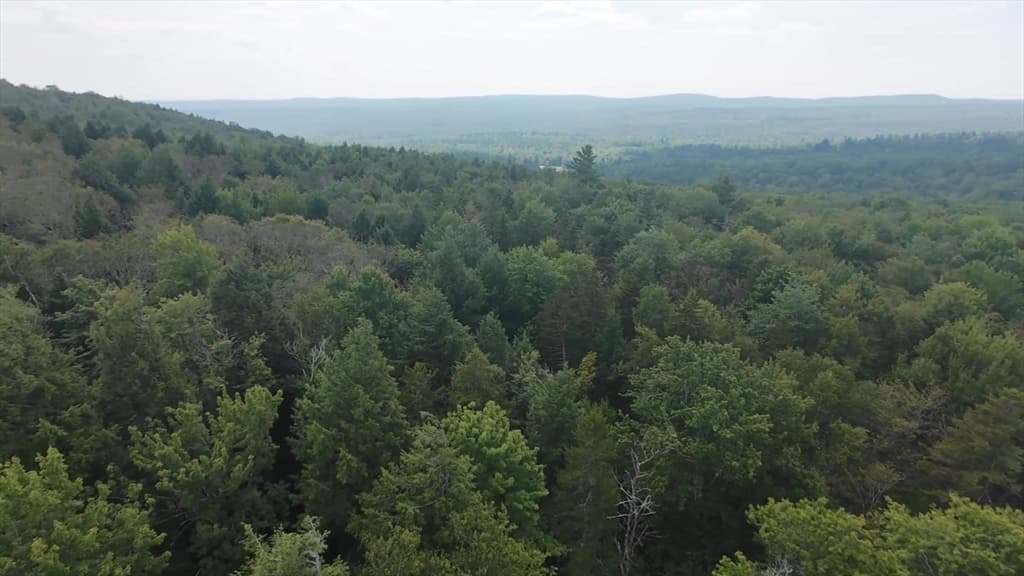 462 Old North Road, Worthington MA 01098 photo 9