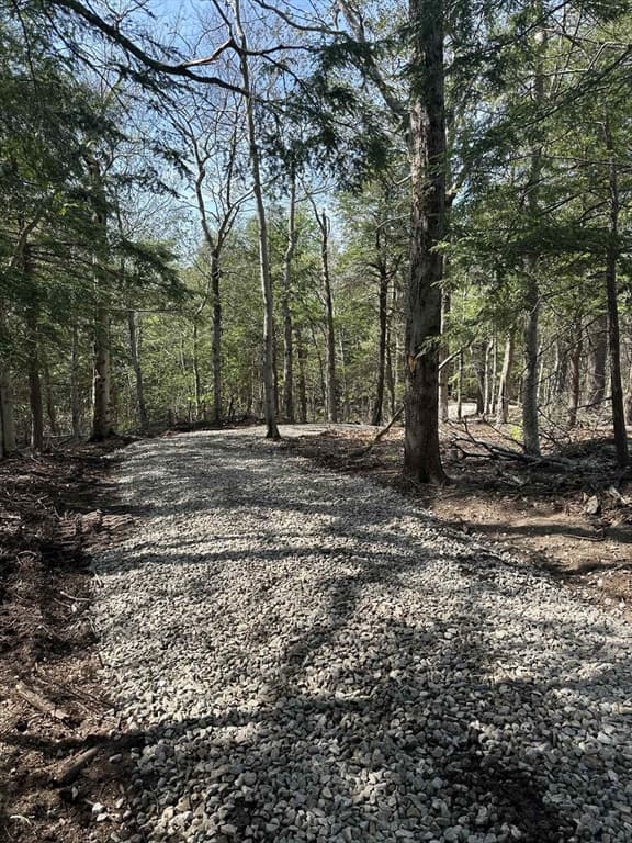 462 Old North Road, Worthington MA 01098 photo 10