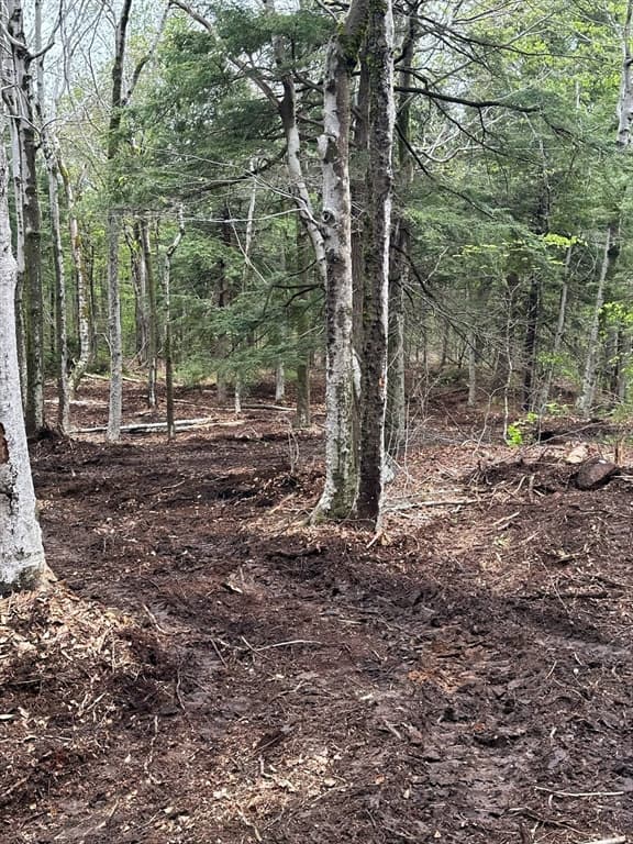 462 Old North Road, Worthington MA 01098 photo 11