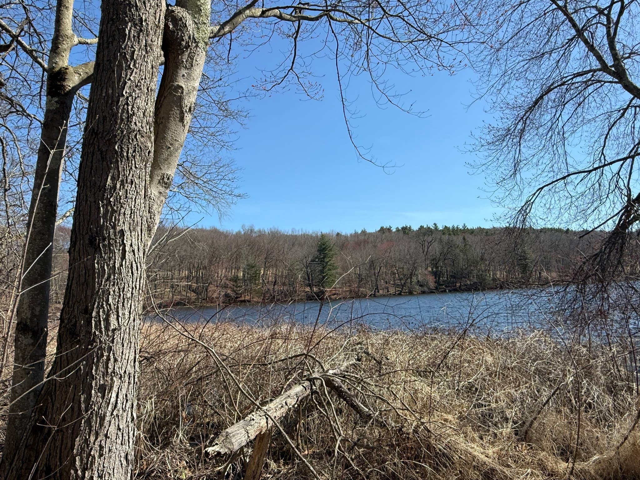 Land at 277 River Drive, Hadley MA 01035, photo 3 of 13