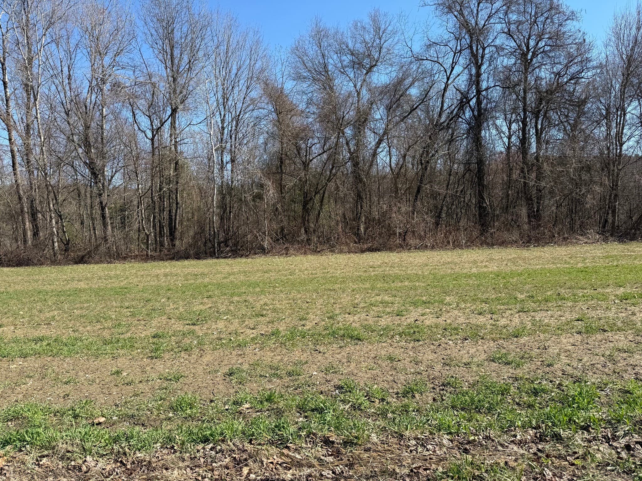 277 River Drive, Hadley MA 01035