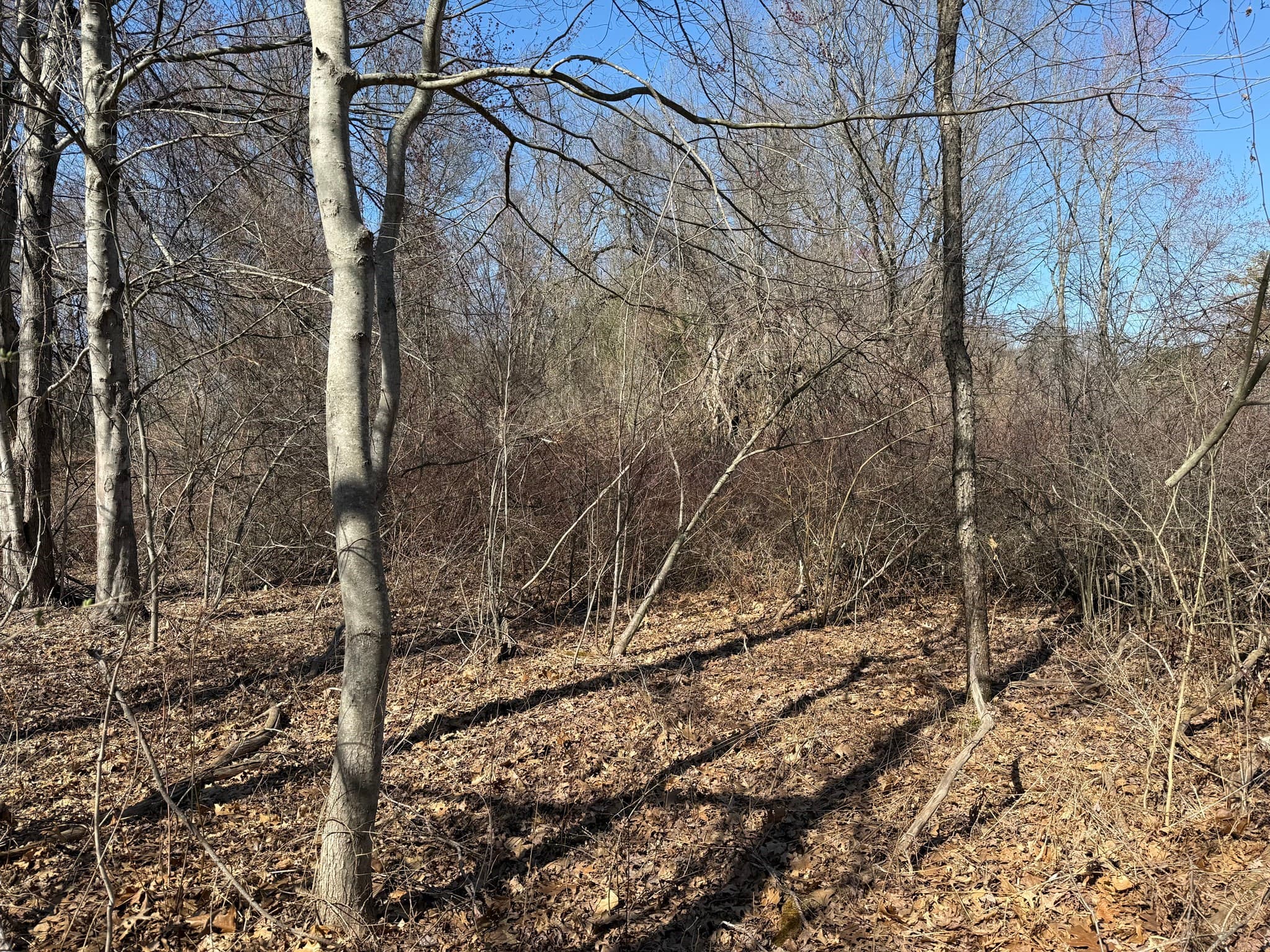 Land at 277 River Drive, Hadley MA 01035, photo 5 of 13