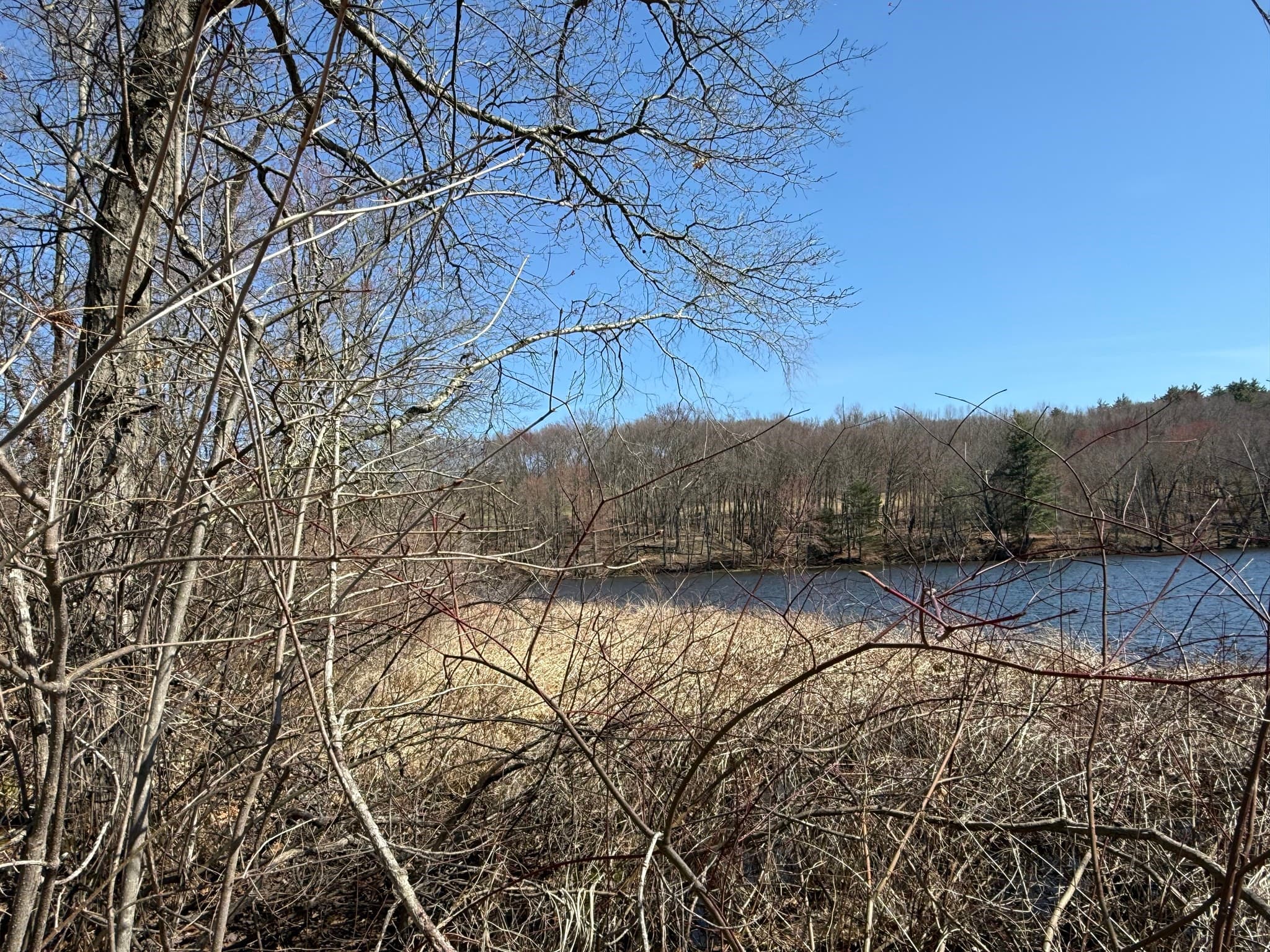 Land at 277 River Drive, Hadley MA 01035, photo 4 of 13