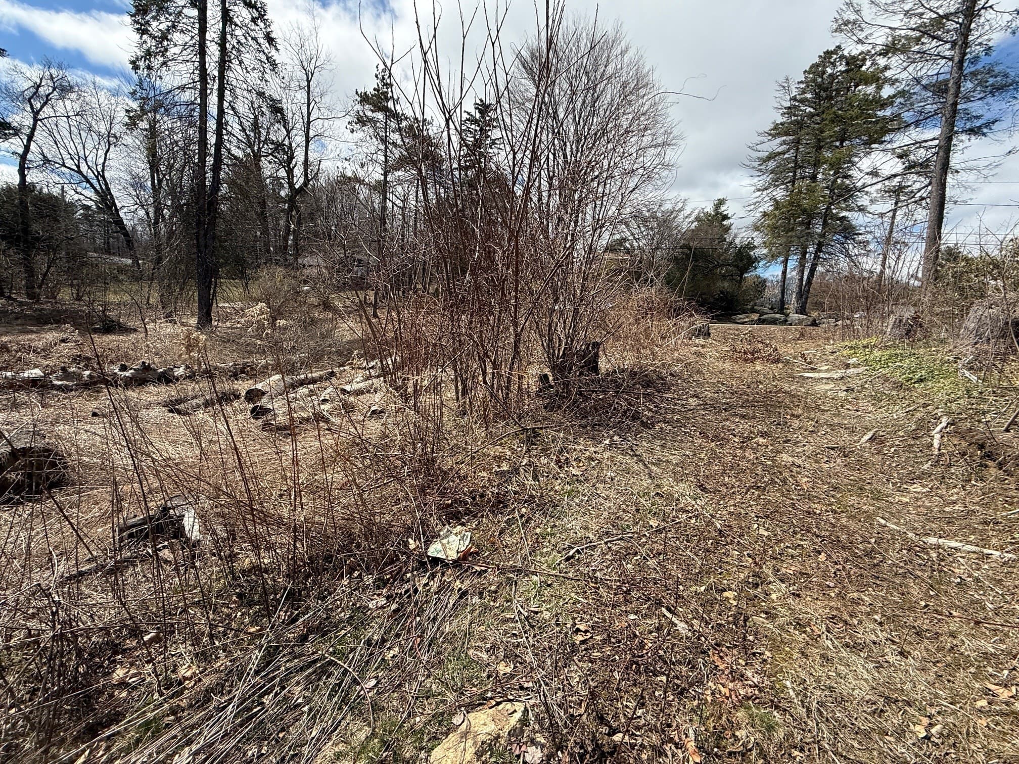 Residential at 11 Walbridge Road, Paxton MA 01612, photo 6 of 10