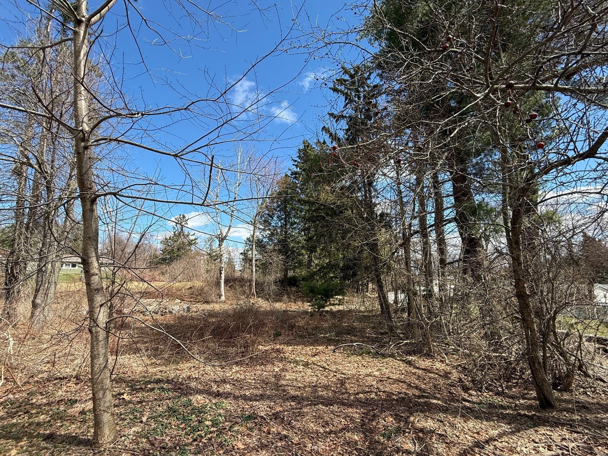 Residential at 11 Walbridge Road, Paxton MA 01612, photo 9 of 10