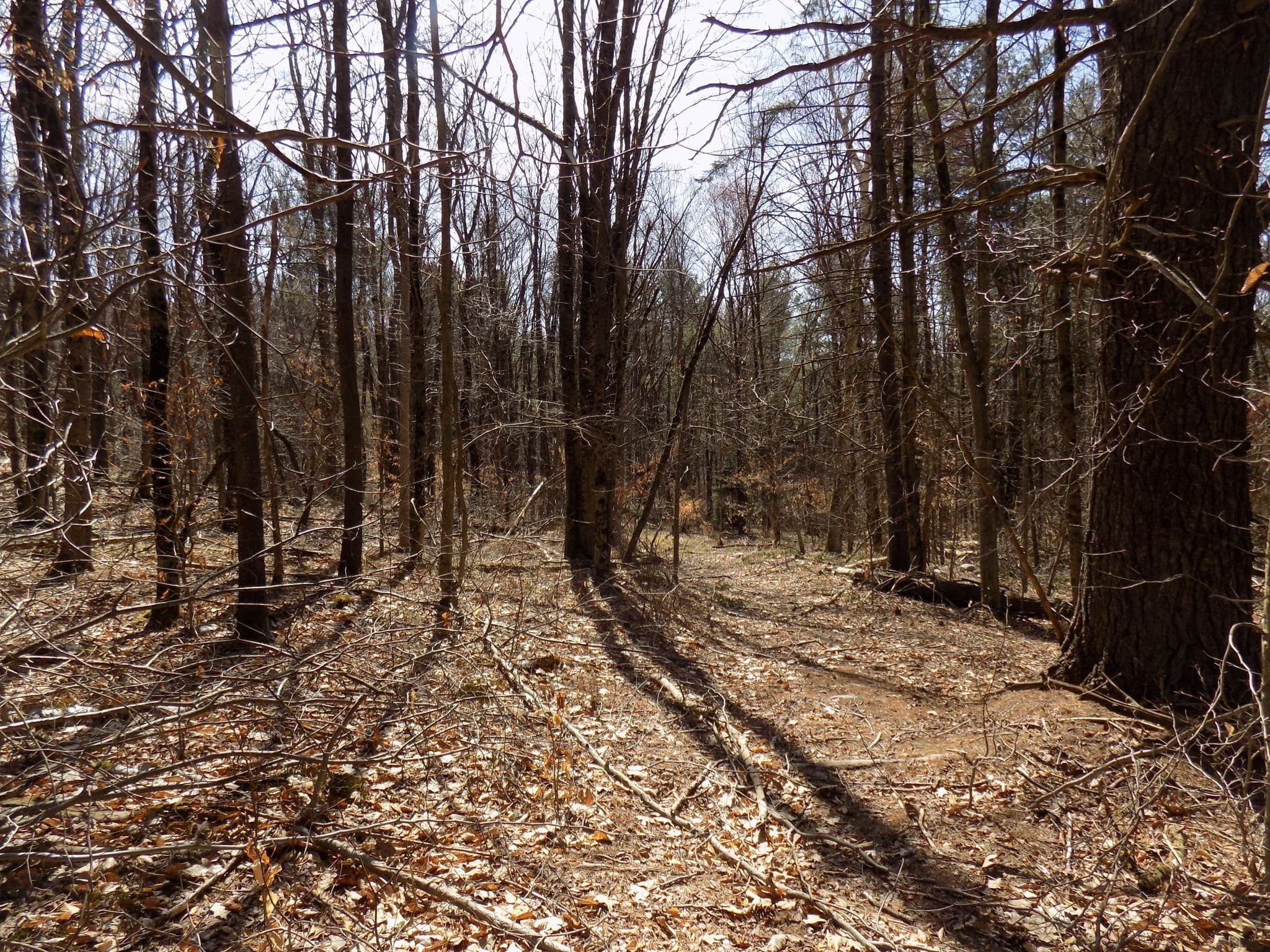 Residential at 0 Summit Hill Rd. Lot 3, Washington MA 01223, photo 13 of 15