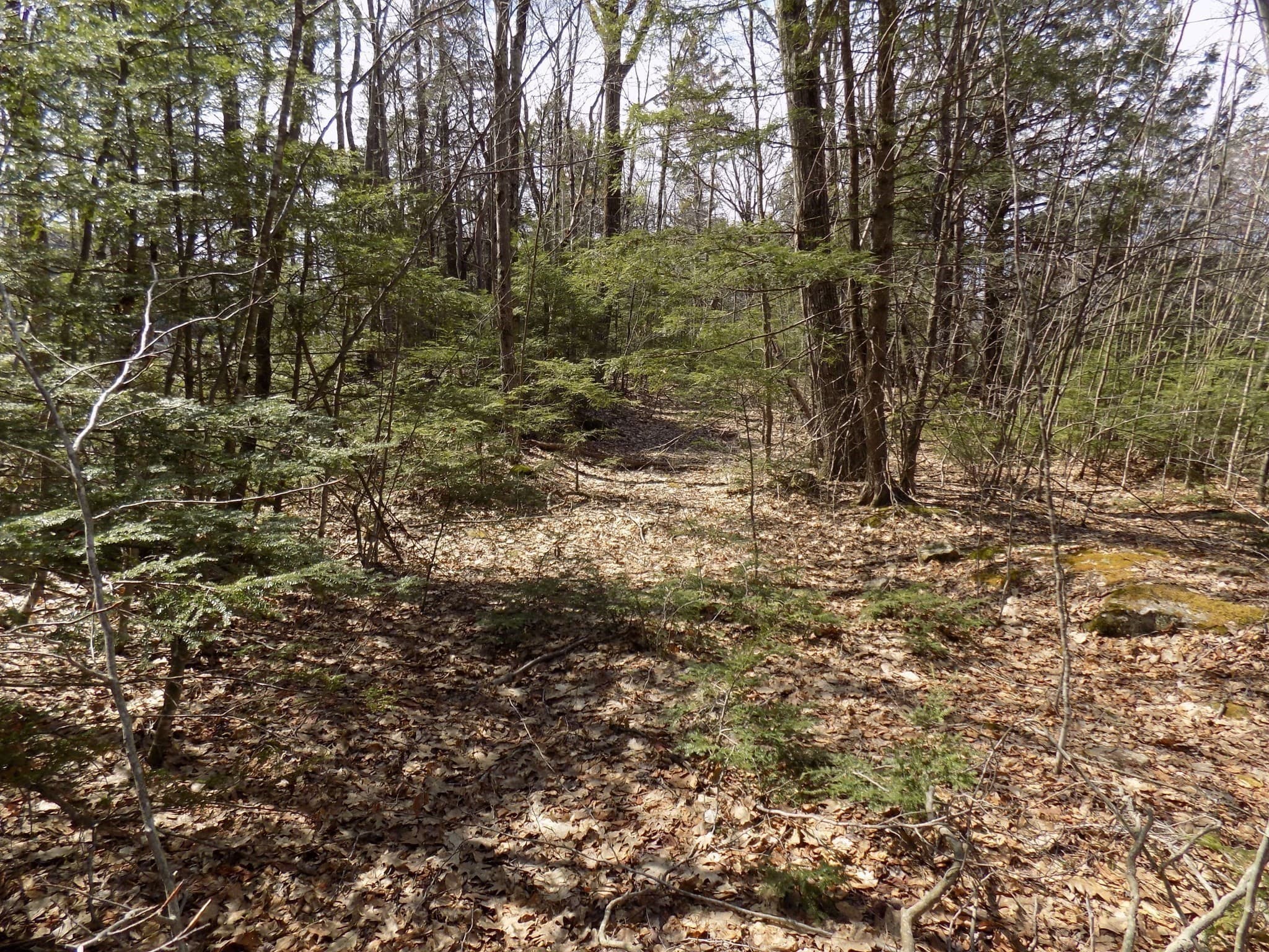 Residential at 0 Summit Hill Rd. Lot 3, Washington MA 01223, photo 5 of 15